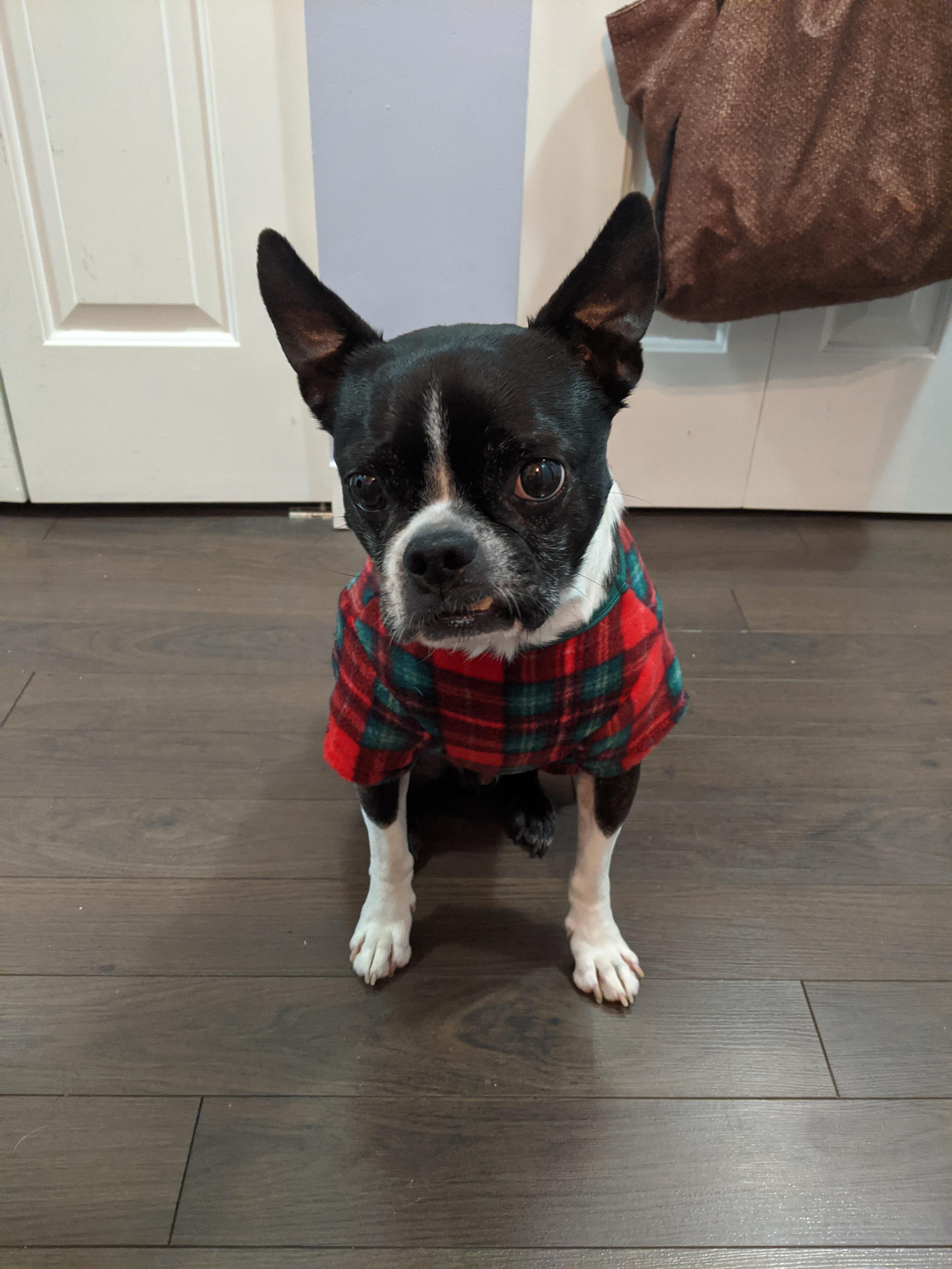 Hello Reddit! This is our little man in his Christmas Onesie 🎄 r
