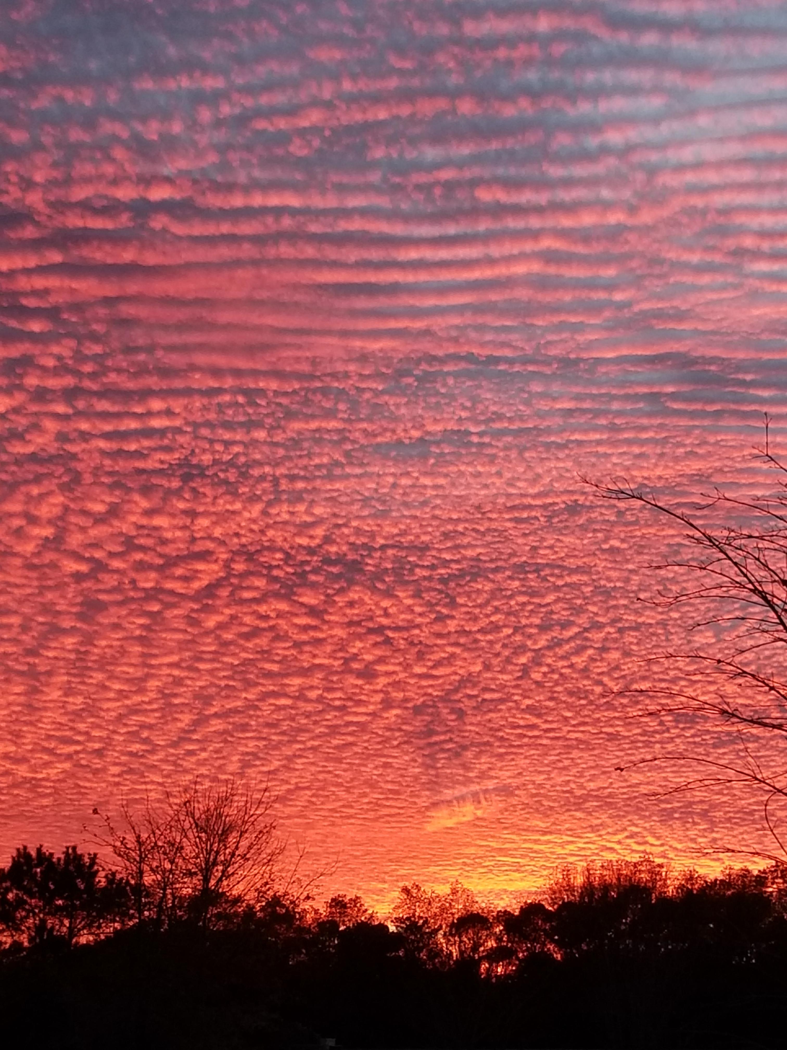 We had a lovely sunset here in today. I hope you did too. r/pics