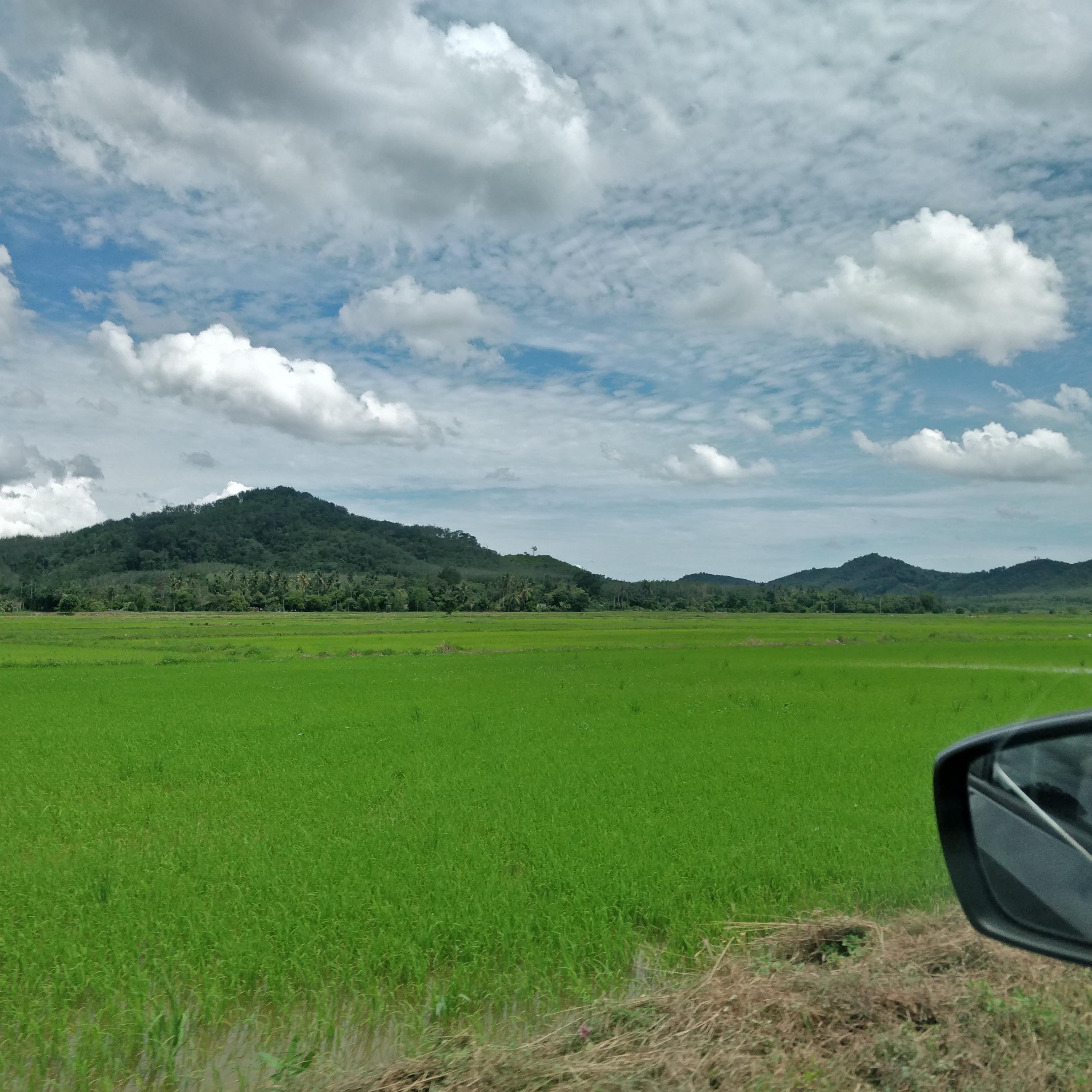 Jelapang Padi malaysia