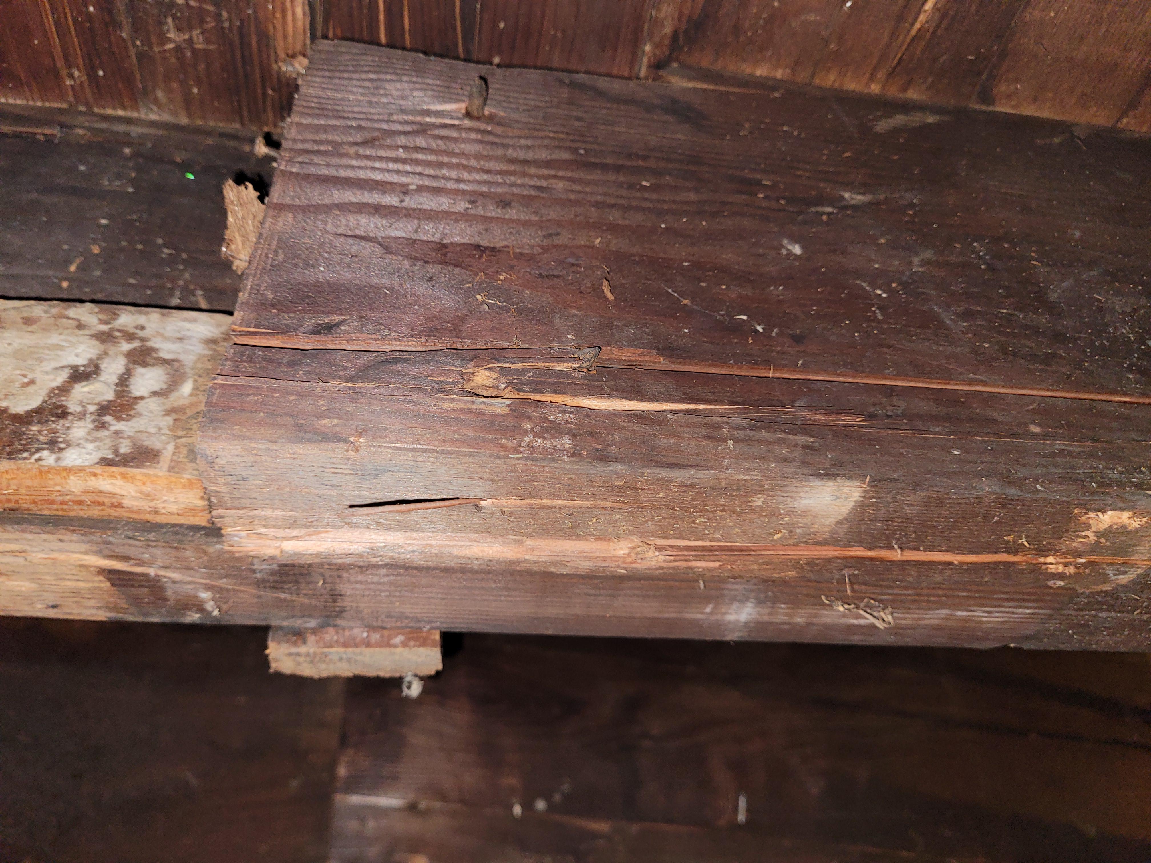 Cracked floor joist r/Remodel