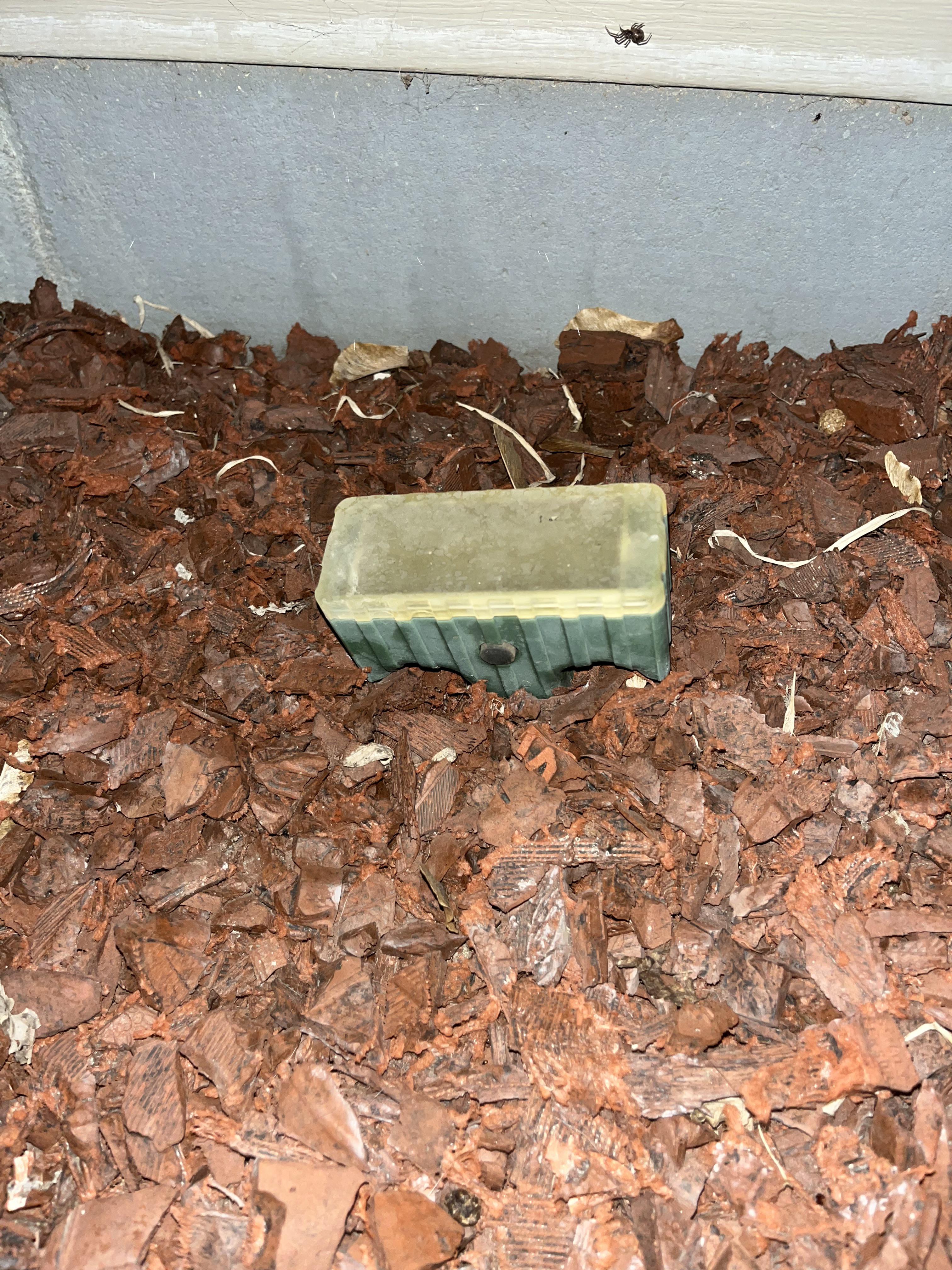 What is this small green box staked into the ground next to our house