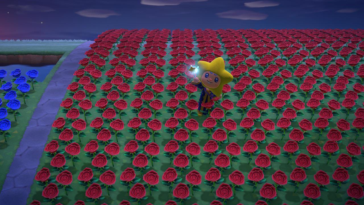 Confused by watering? ACNHGardening