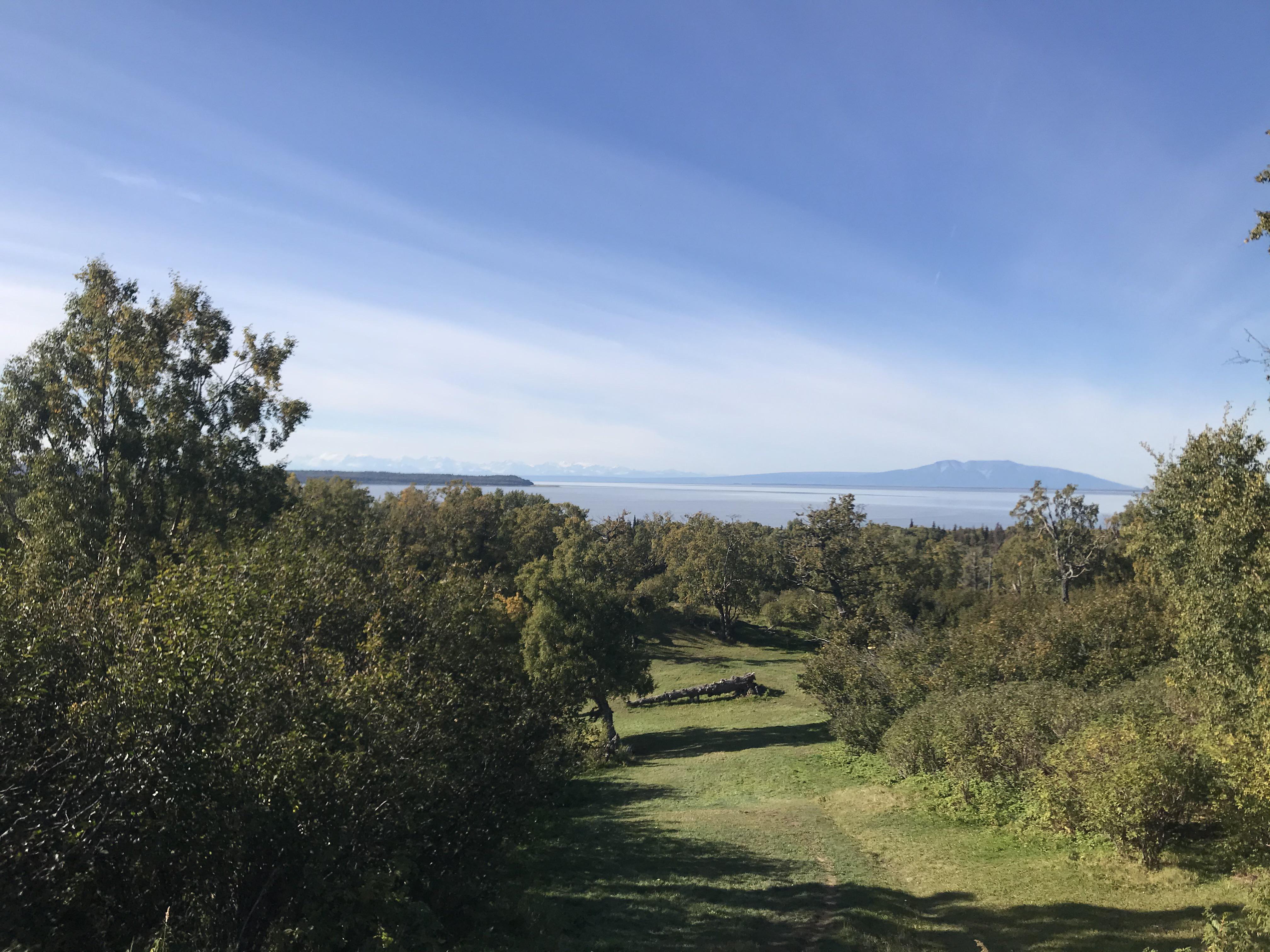 Hole 3 at Kincaid Park in Anchorage, AK. r/discgolf