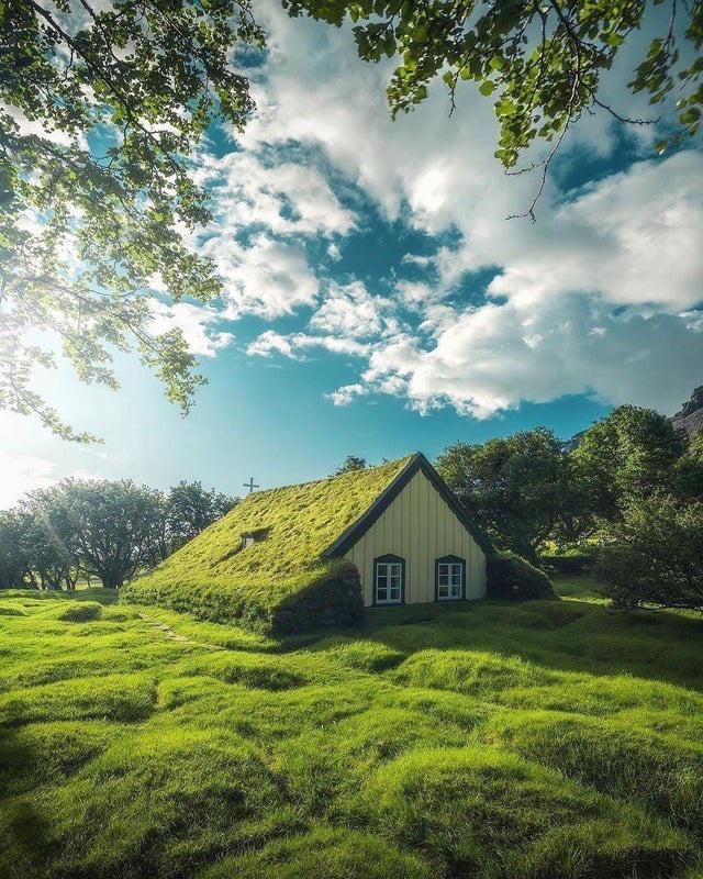 Grass house r/reclaimedbynature
