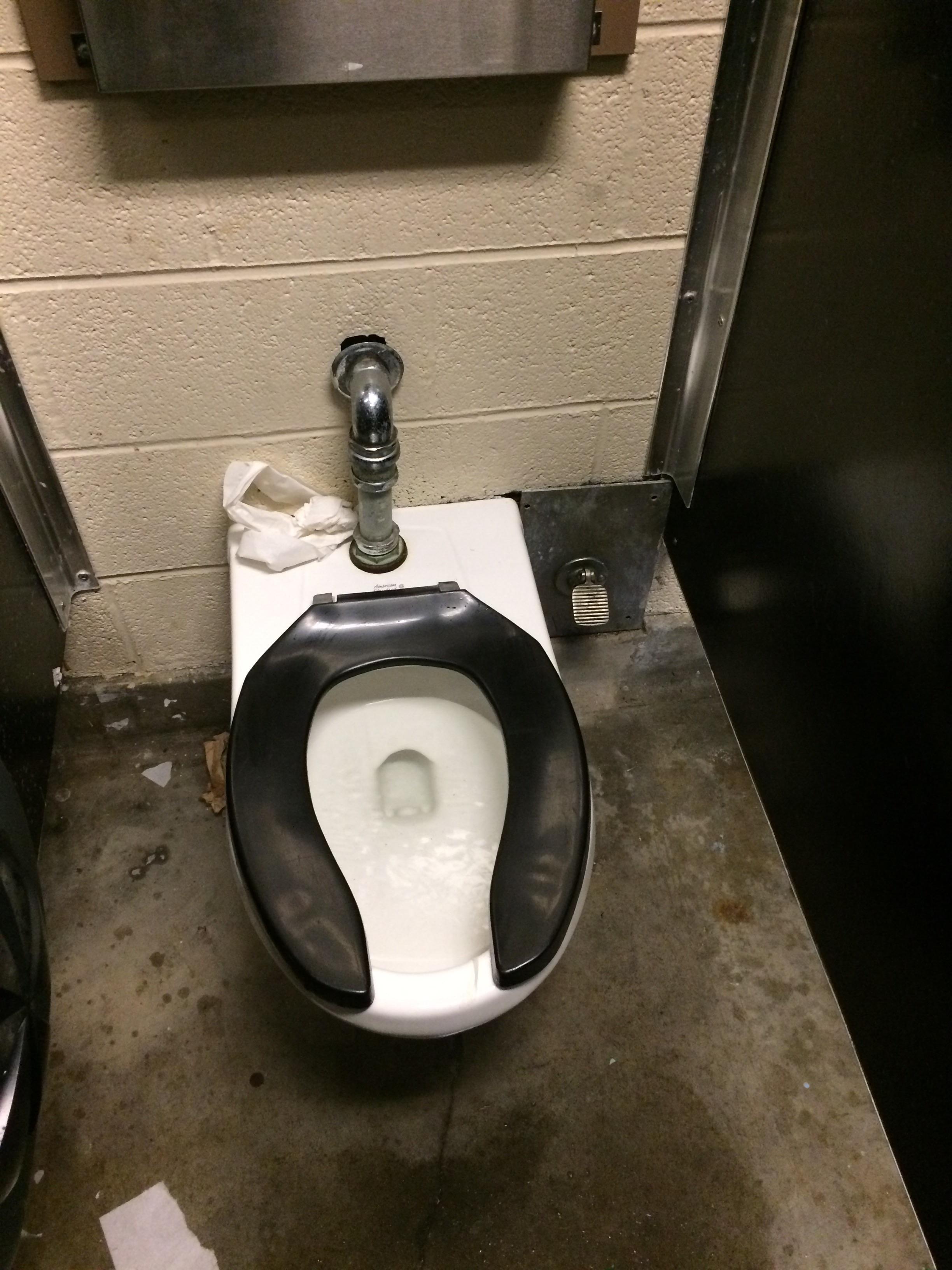 You flush this toilet using a foot pedal... genius r/mildlyinteresting