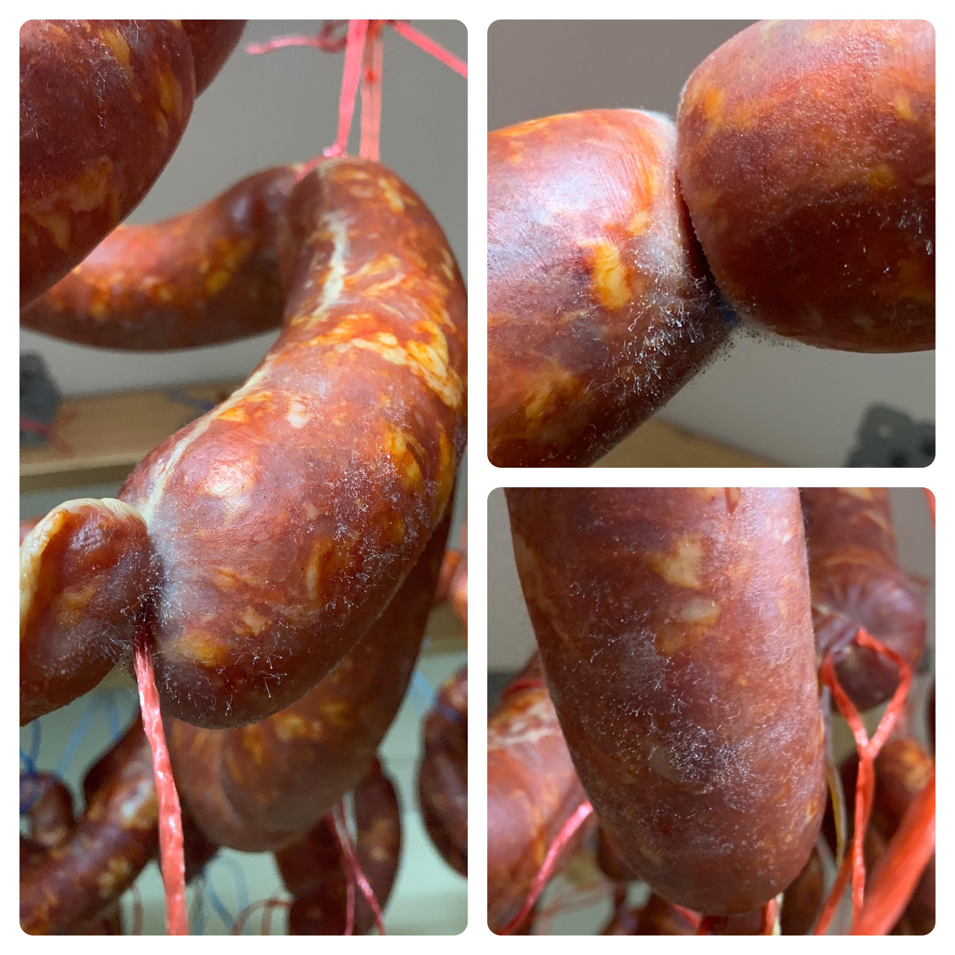 White Mould on Salami r/Charcuterie