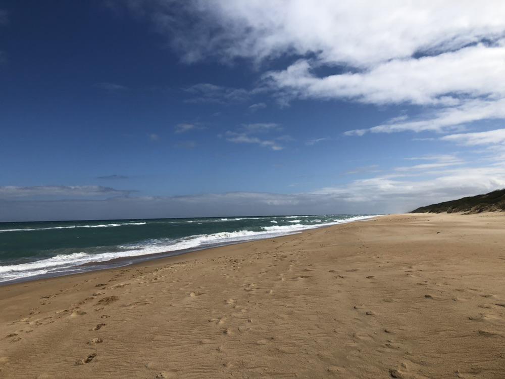 90 Mile Beach, Victoria r/australia