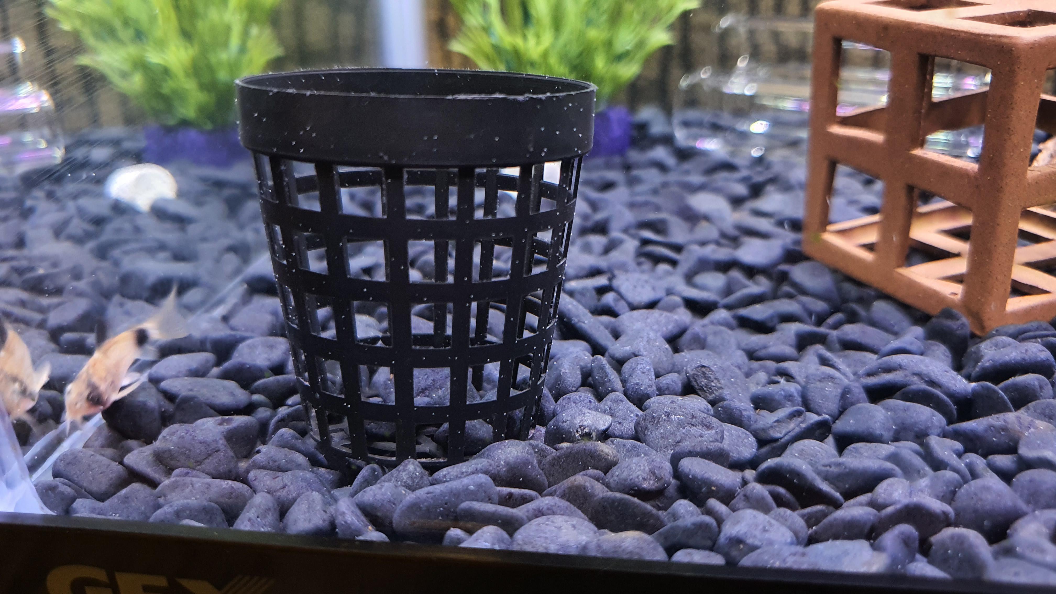 white spots on aquarium glass/decorations? r/Aquariums