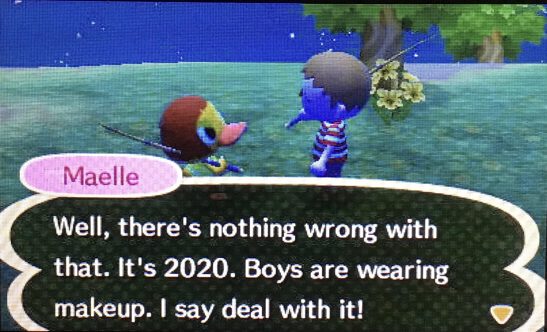 Animal Crossing New Leaf Makeup Guide