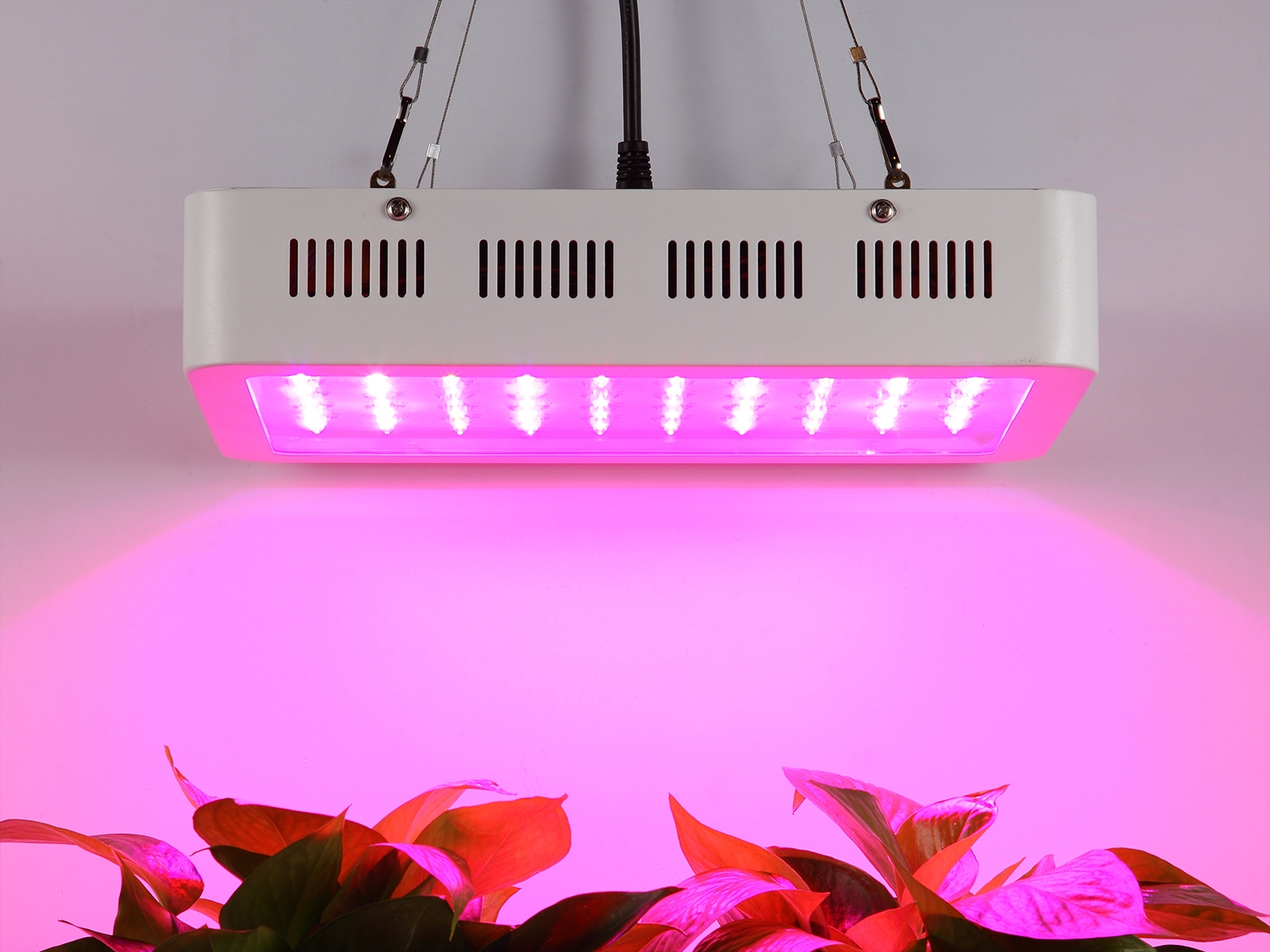 Best Led Signs Suppliers in Canada LED_lighting