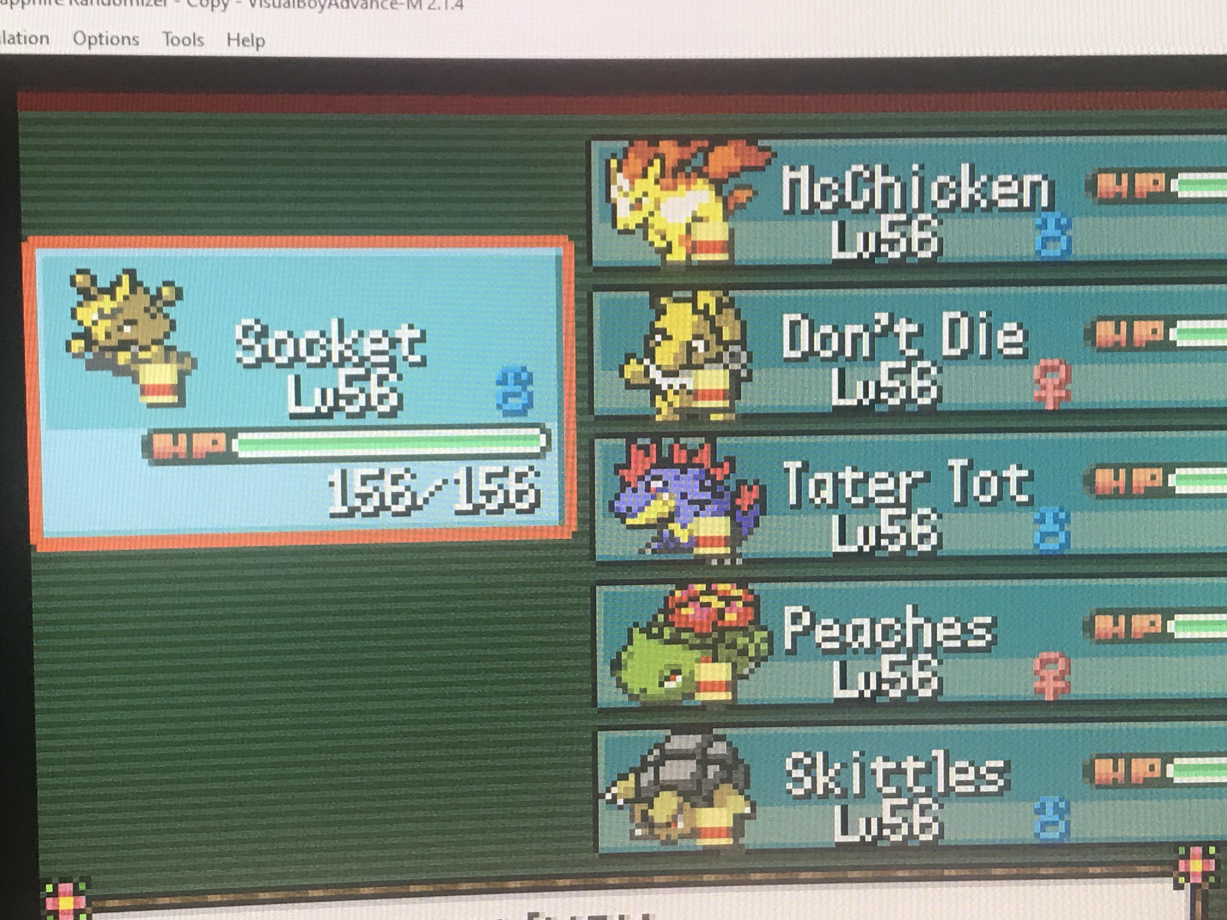 Final team for elite four, wish me luck r/nuzlocke