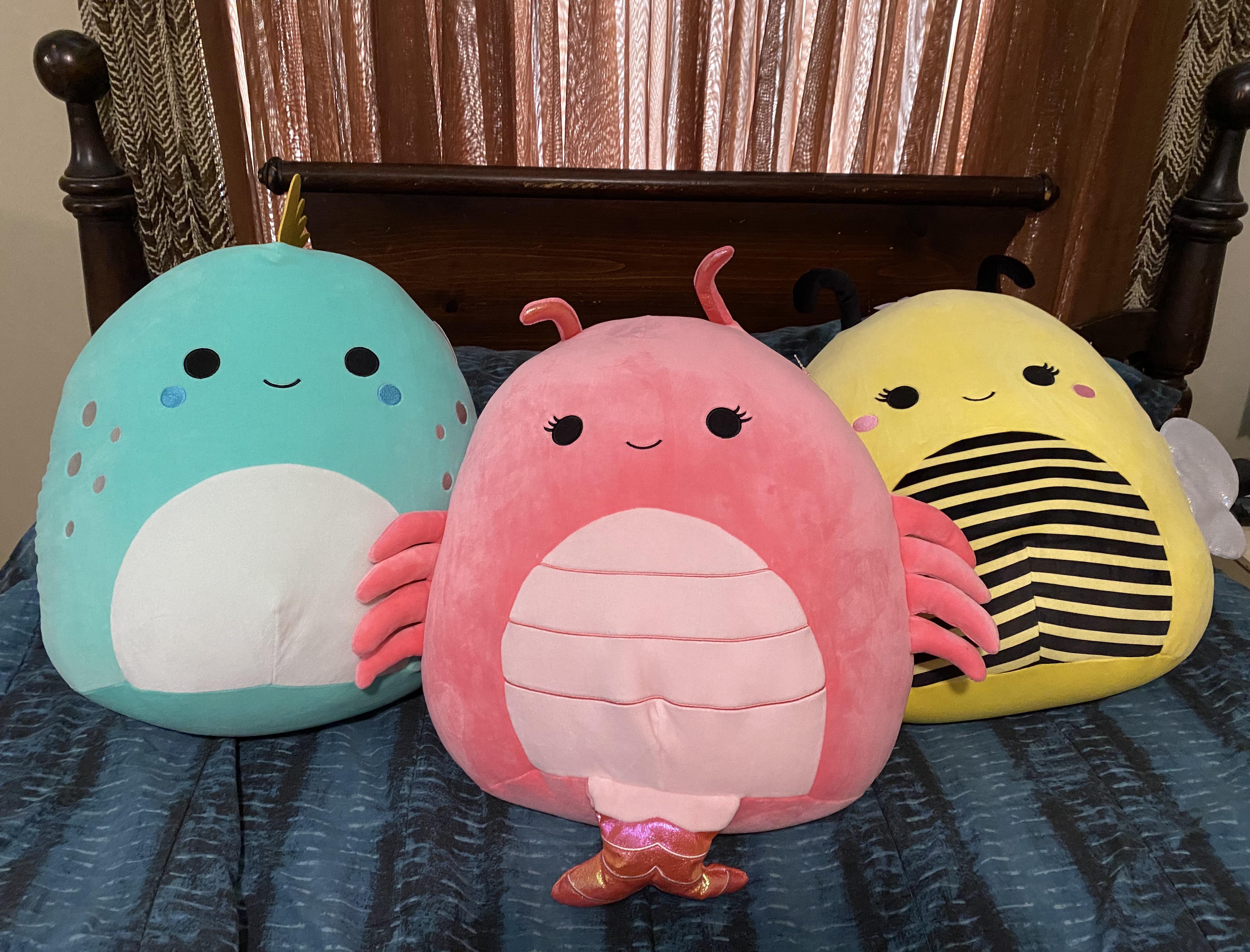 Ahhh!!!🥰 I’m so excited! New members of the family😊 Elysa the snail is