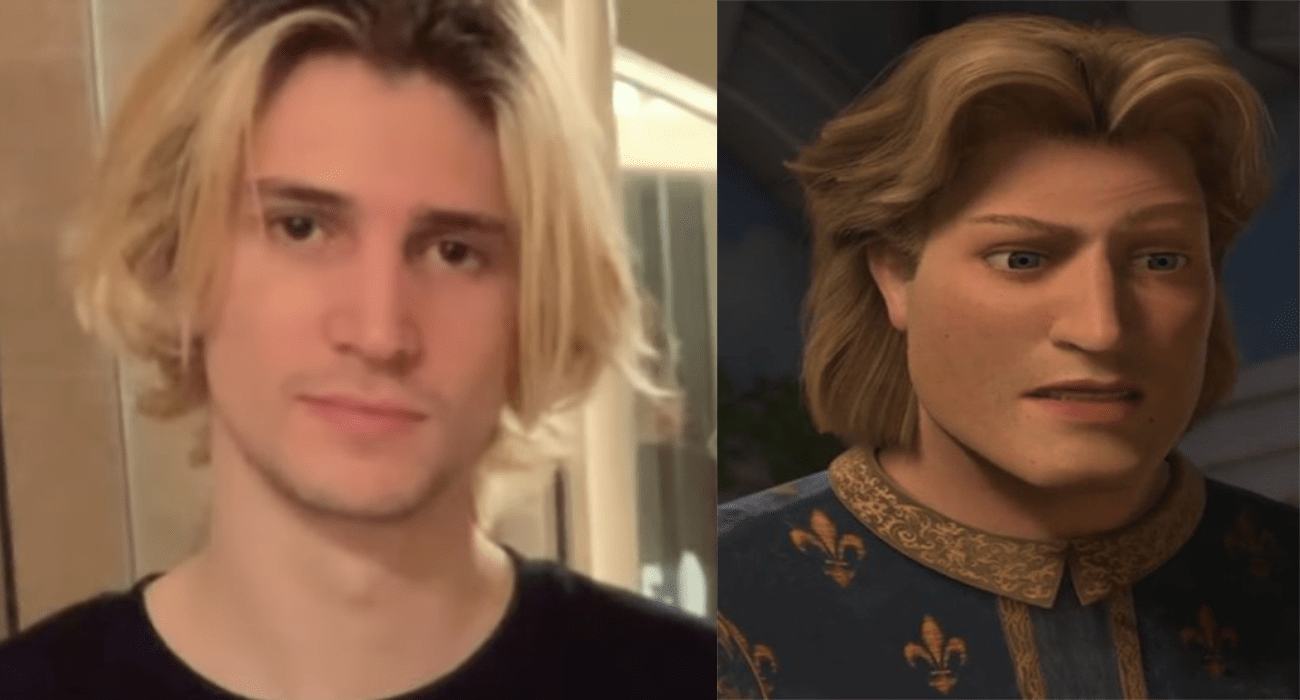 43+ Prince Charming Shrek With Brown Hair