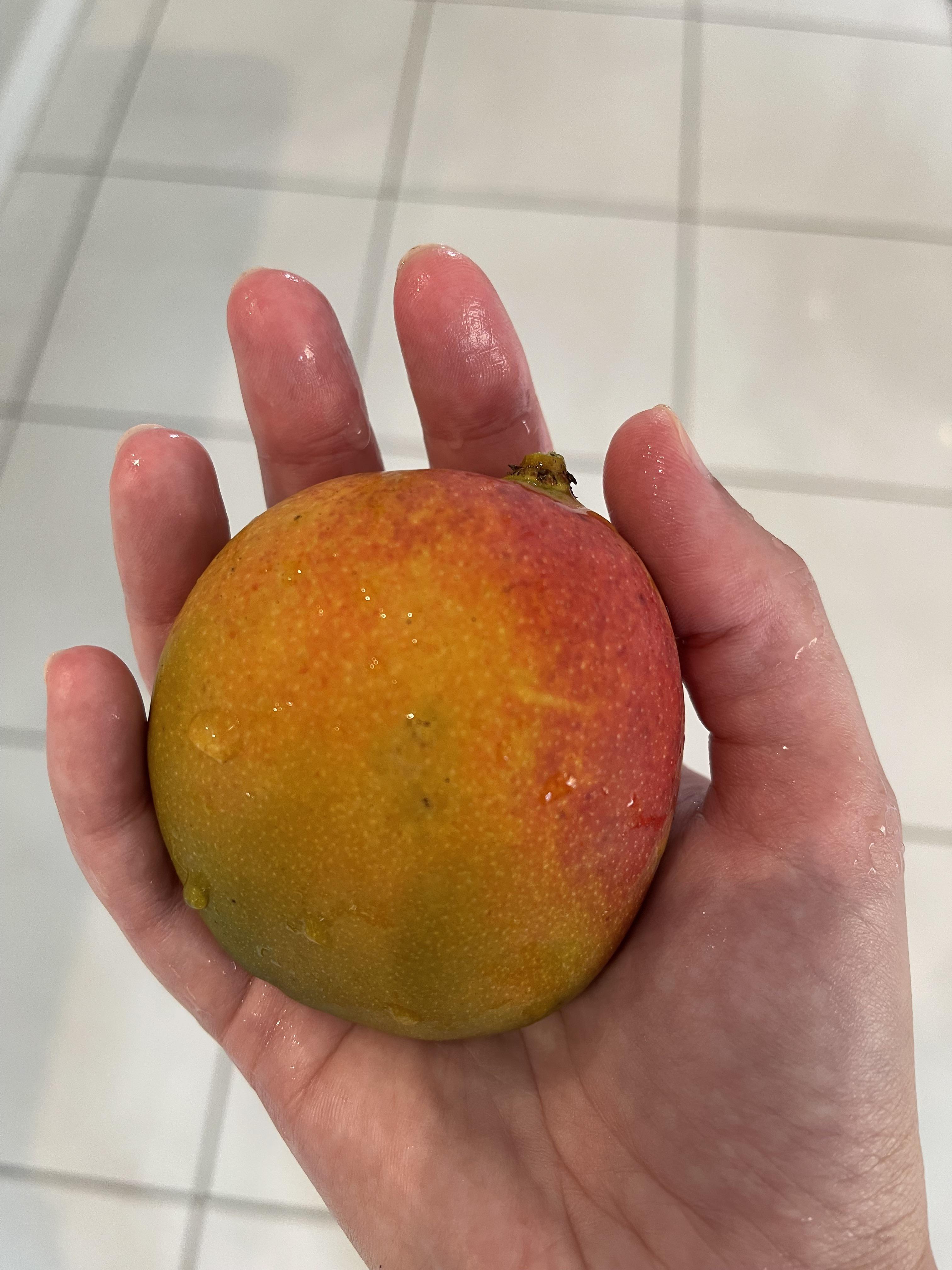 Is it possible to ID this mango grown in South Florida? r/mango