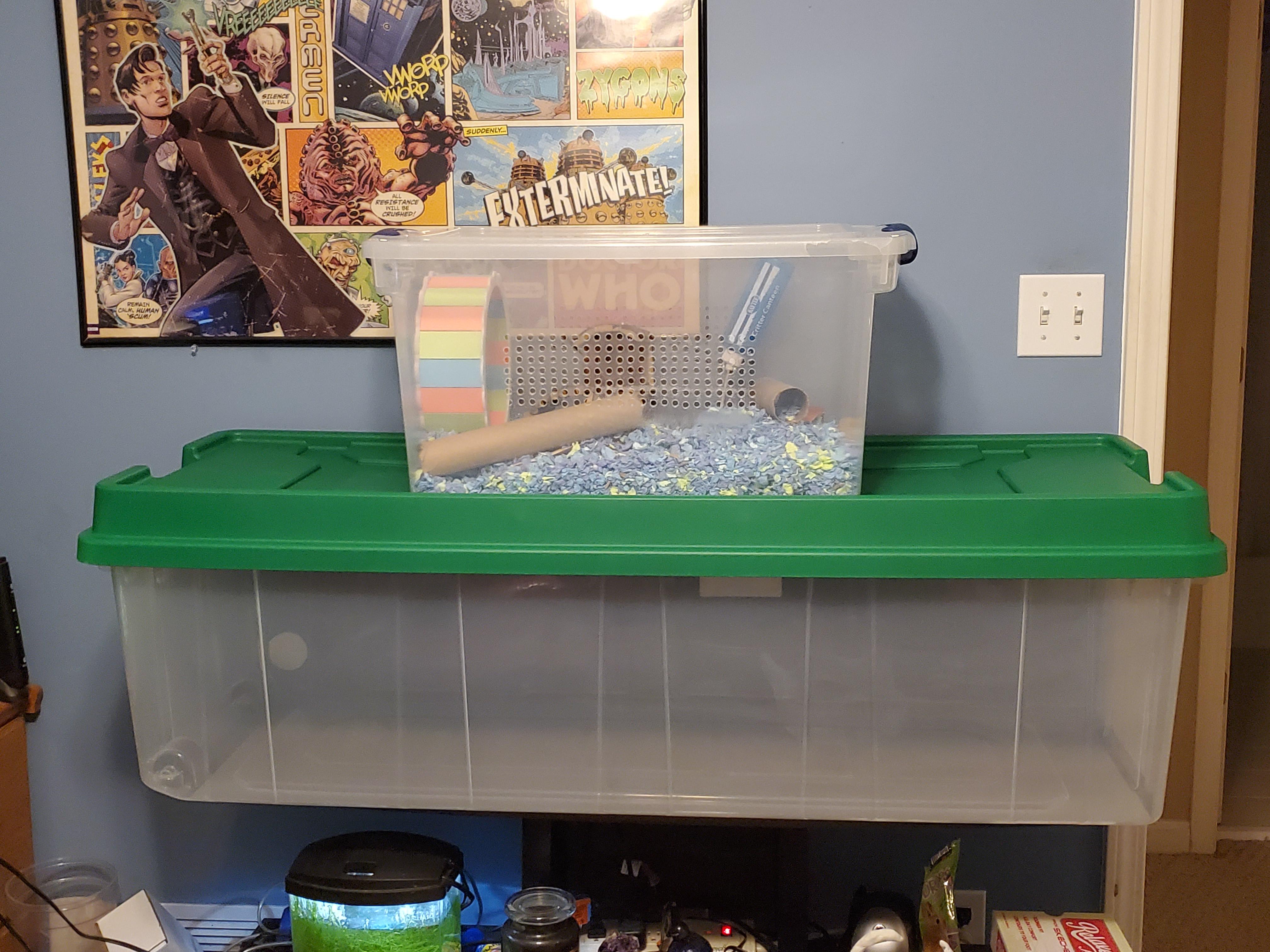 Bin cage upgrade for my syrian! Still have to add all the mods but the