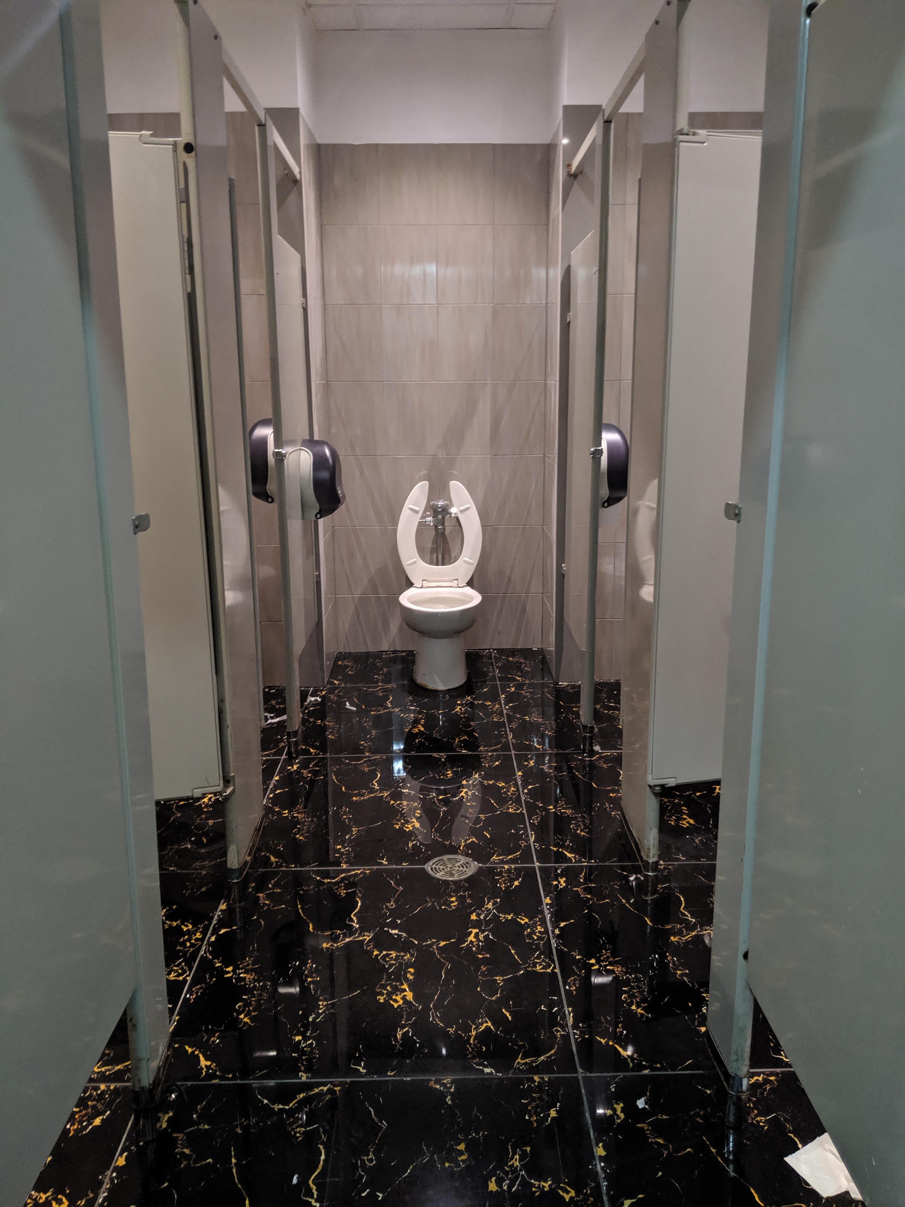 The Toilet Throne, For the Bathroom king r/Bossfight