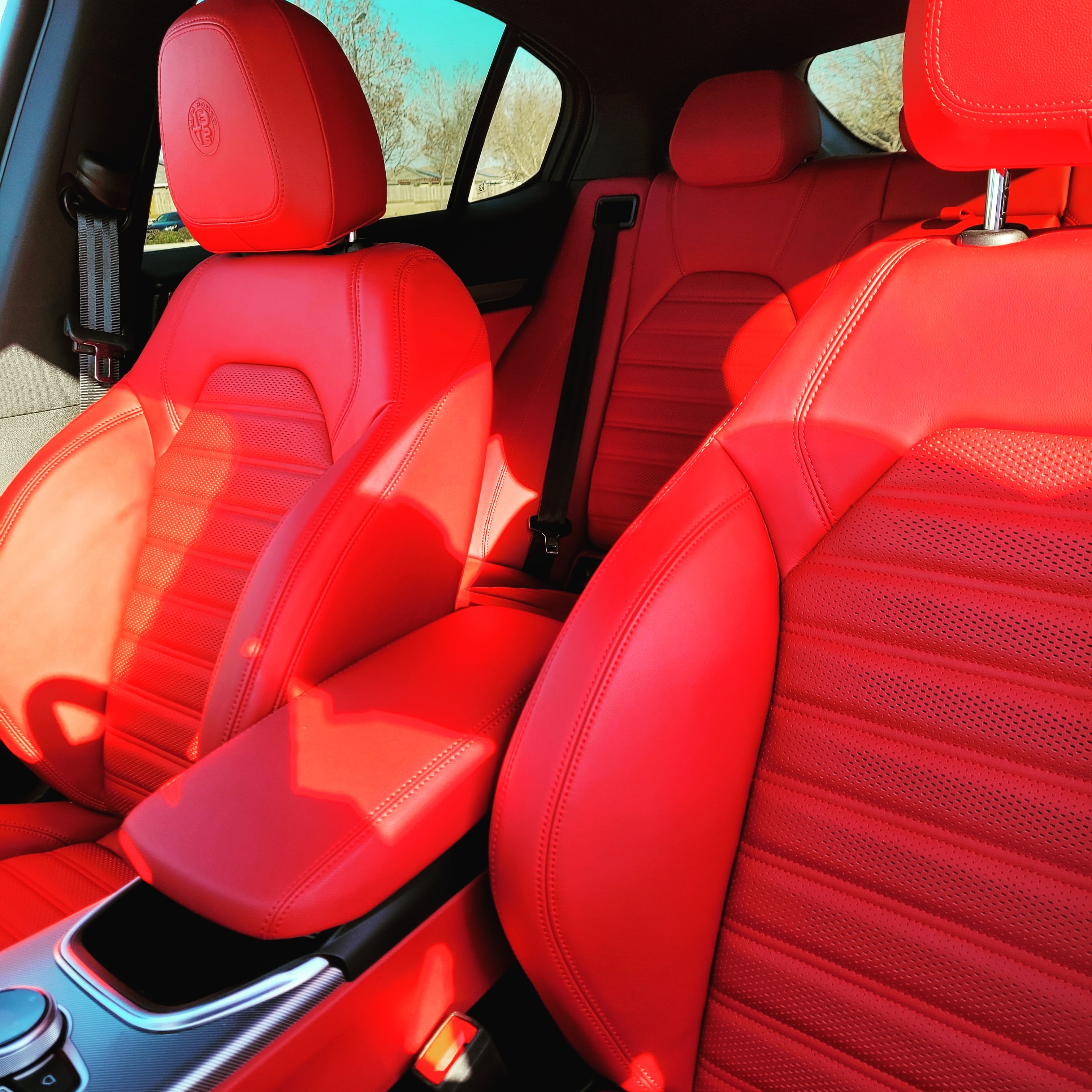 Gotta Love Alfa Romeo Stelvio Red Leather r/AlfaRomeo