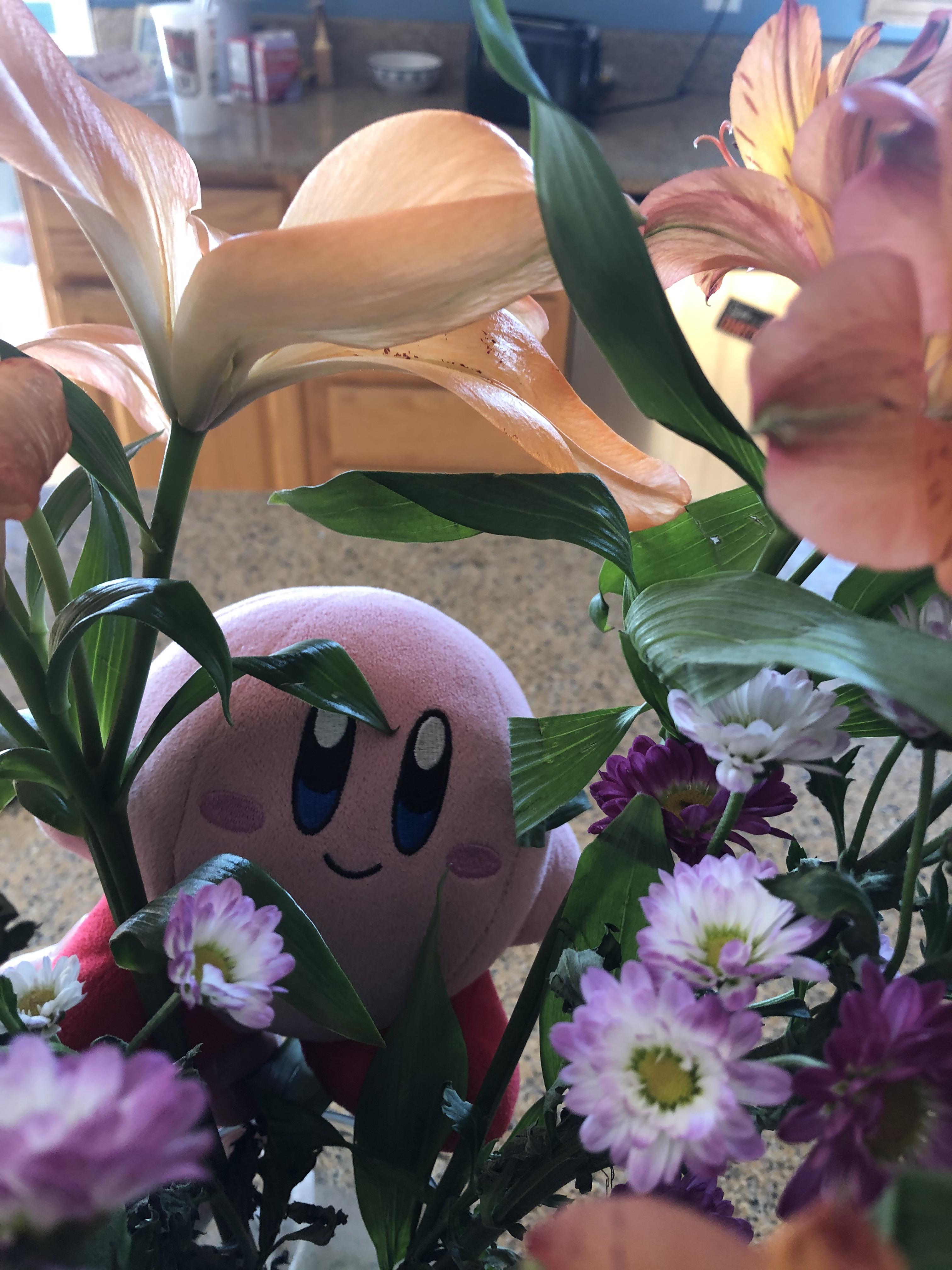 kirby in da flowers r/kirby_goes_places