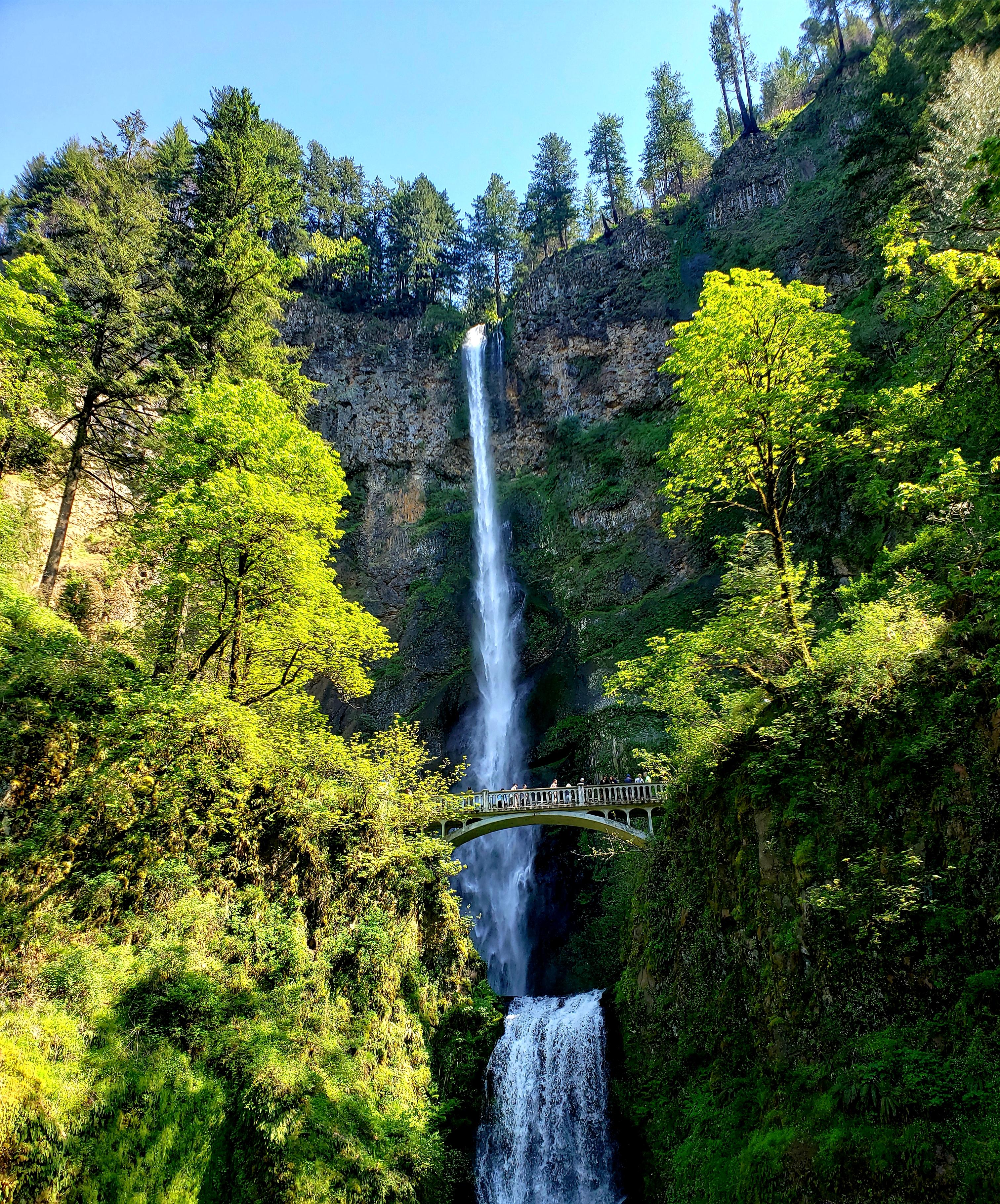 First time visiting Oregon, First time seeing a waterfall. Multnomah