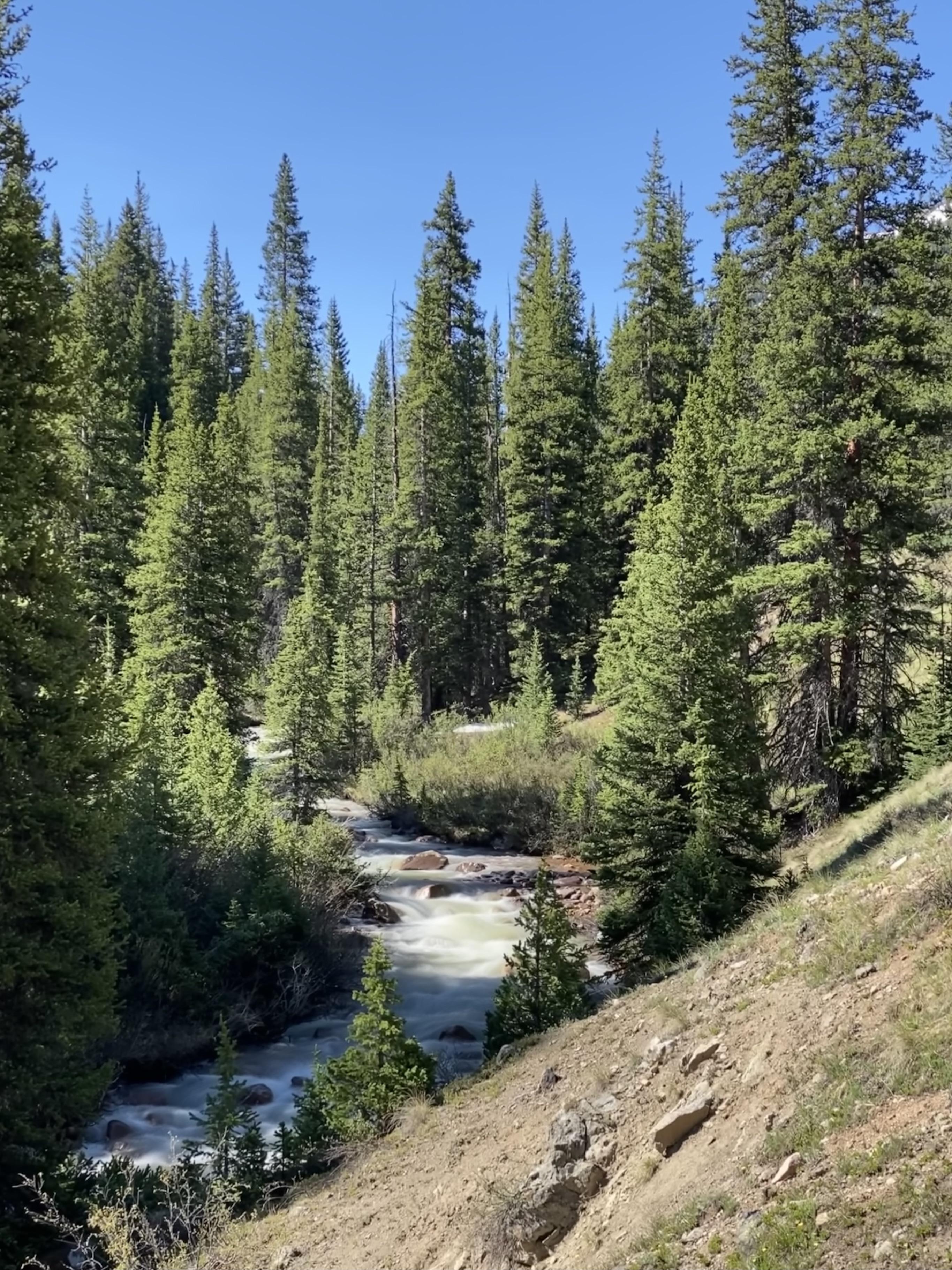 San Isabel National Forest r/Colorado