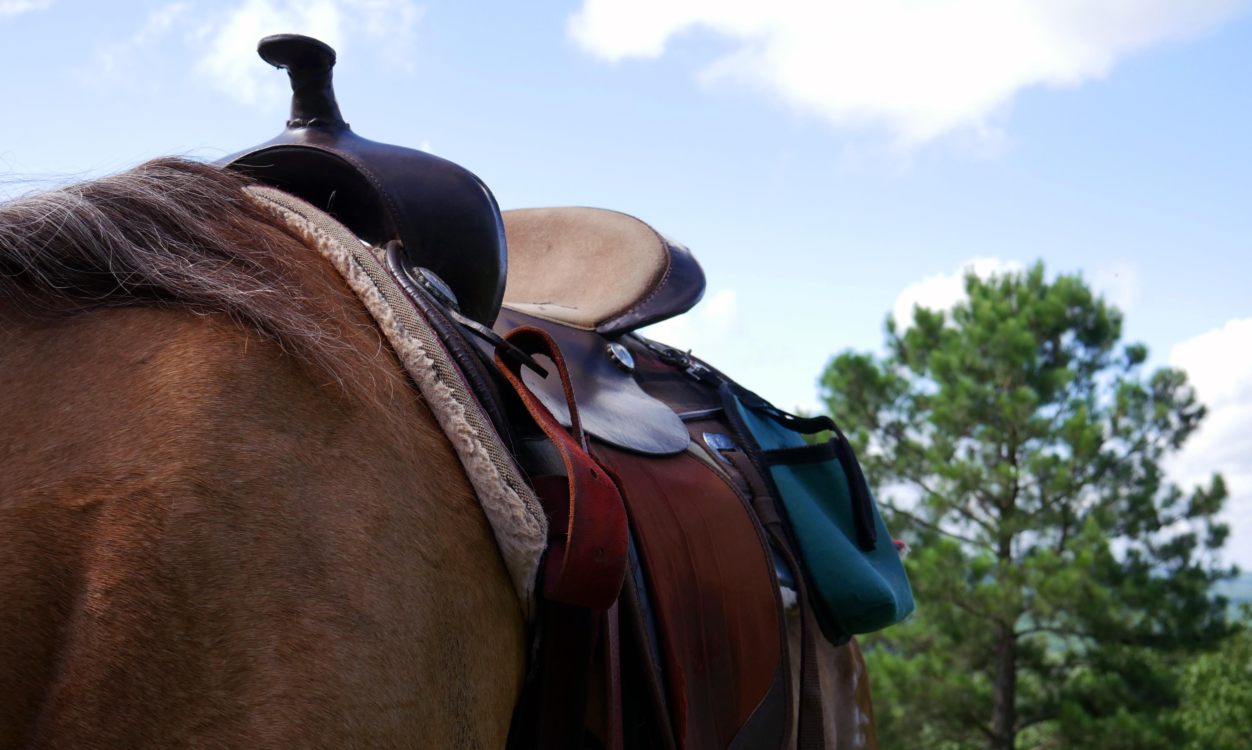 Horseback riding in the mountains r/photocritique