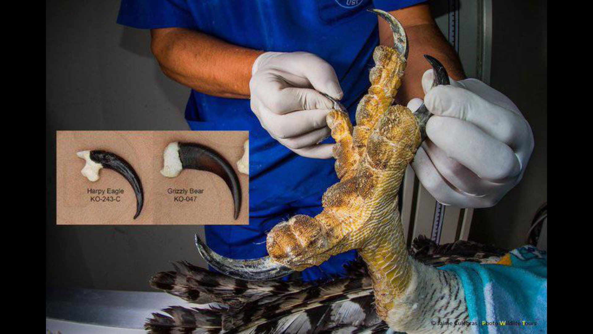 An absolute byrd unit oO r/AbsoluteUnits