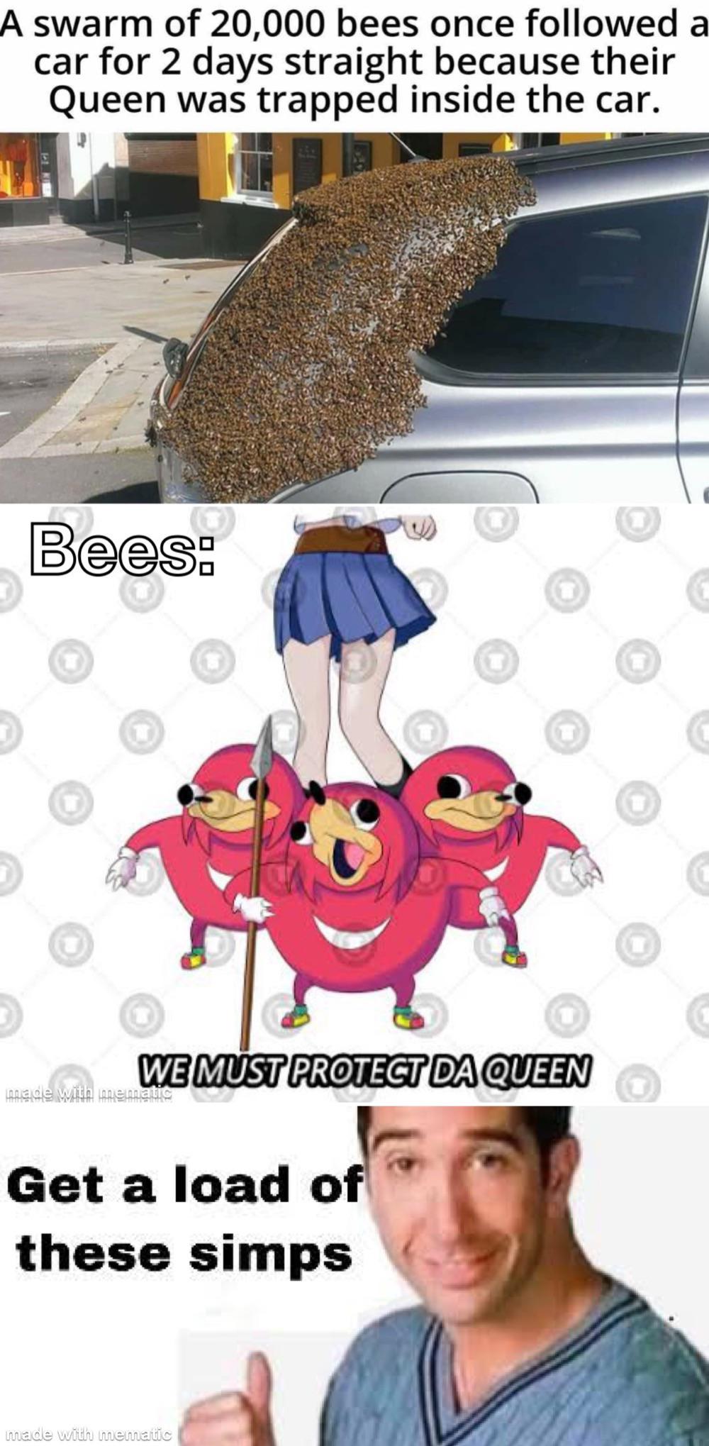 Live a simp, die a simp. bee_irl