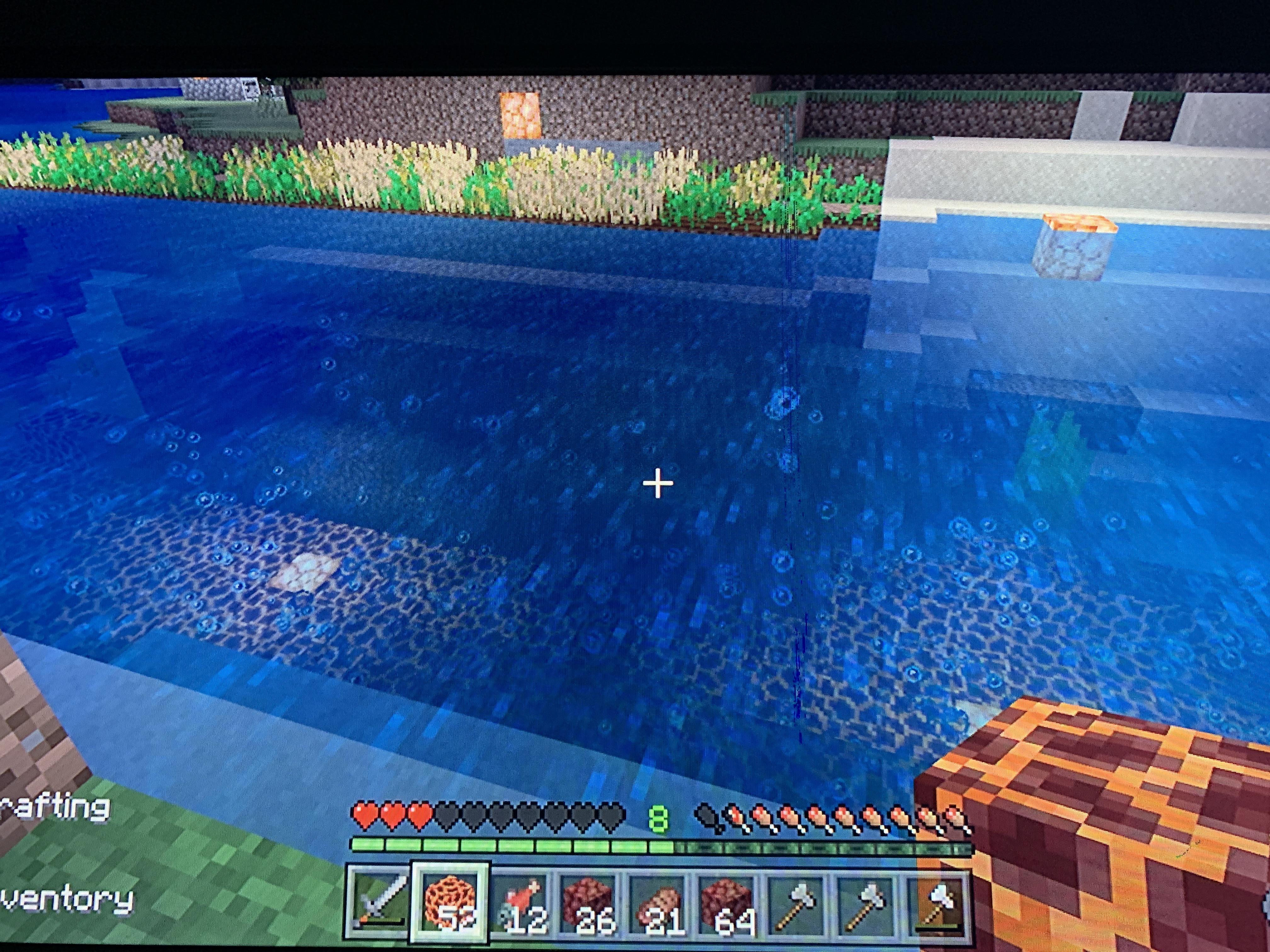 Drowned Minecraft