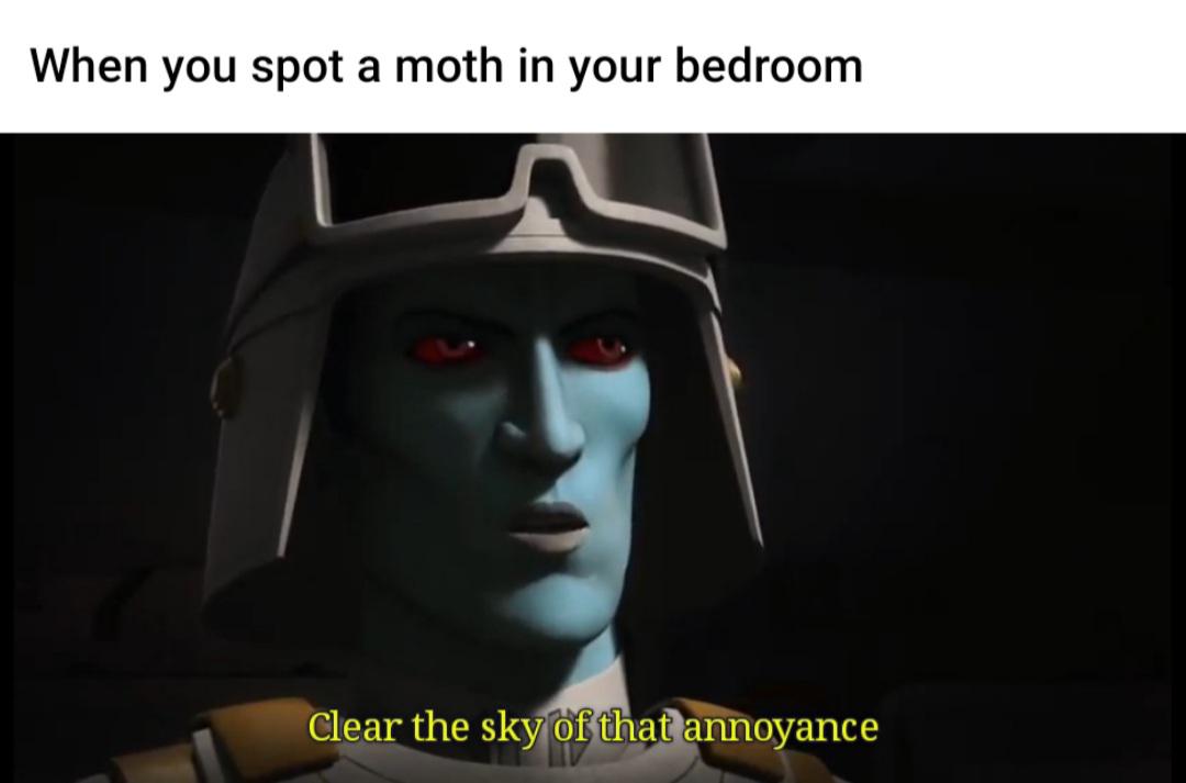 grand admiral thrawn quotes Thrawn's Quotes Are An Endless Source Of Meme Potential : R/Thrawnmemes