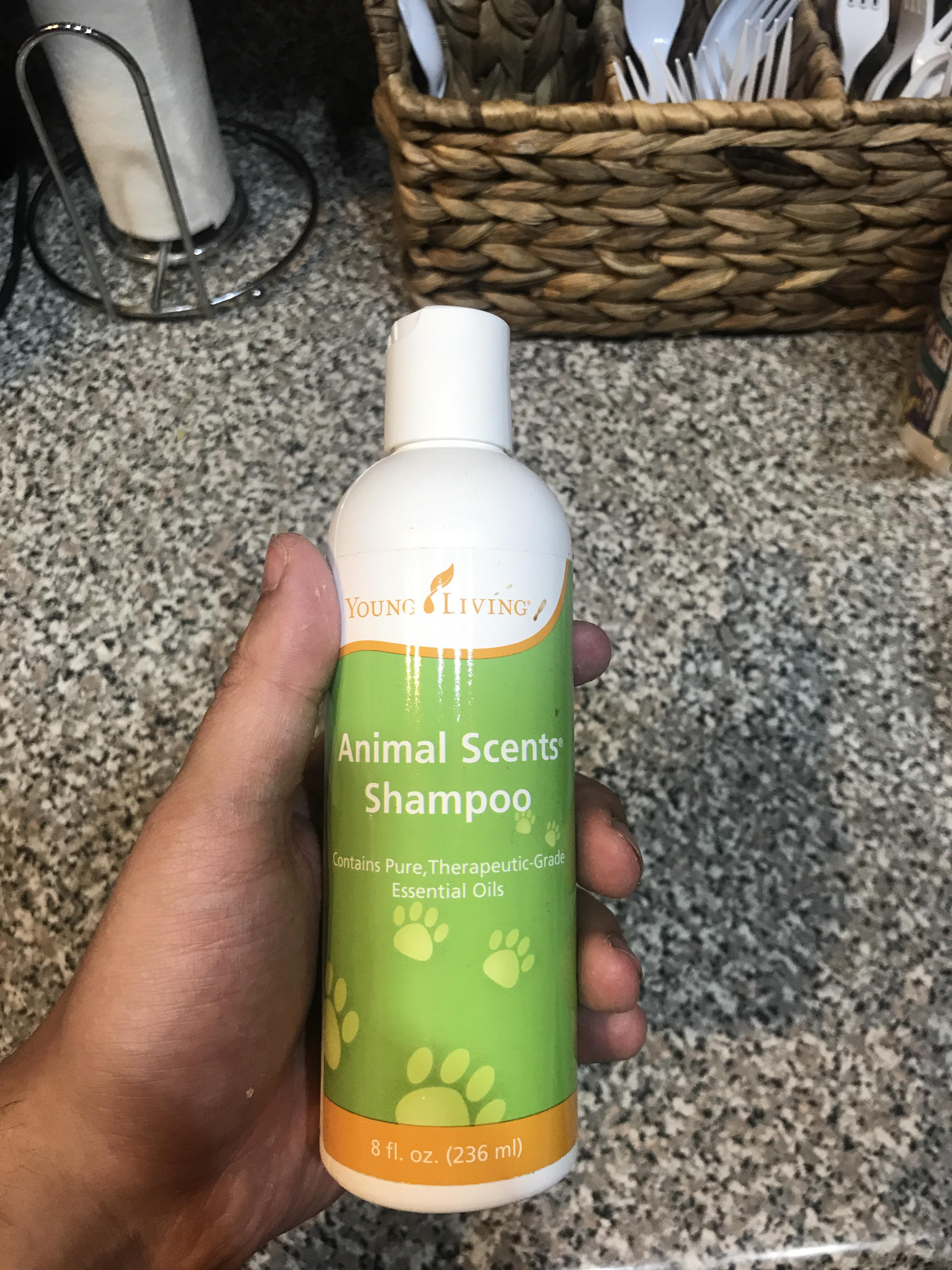 Not what I was expecting when I asked for dog shampoo... r/antiMLM