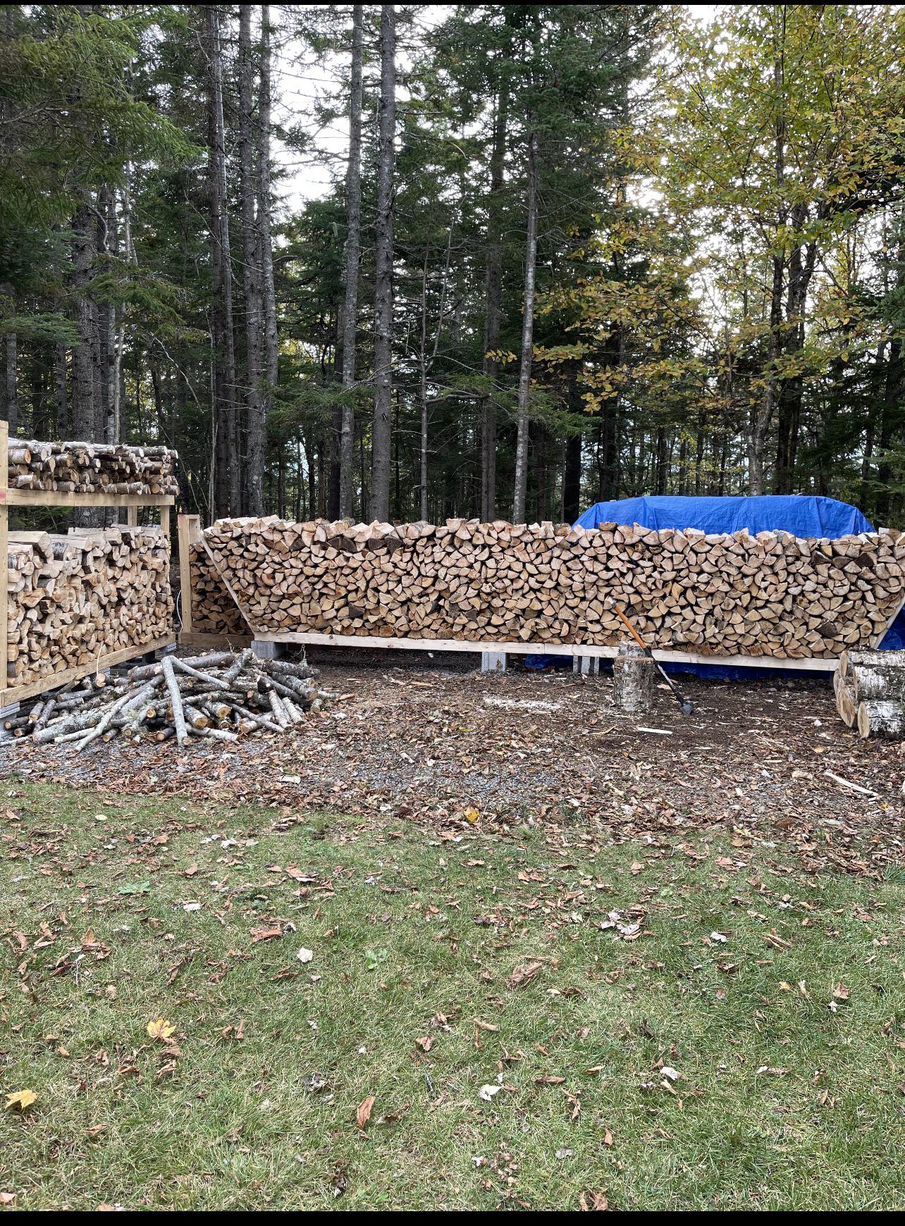 Cleanup from Hurricane Fiona r/firewood