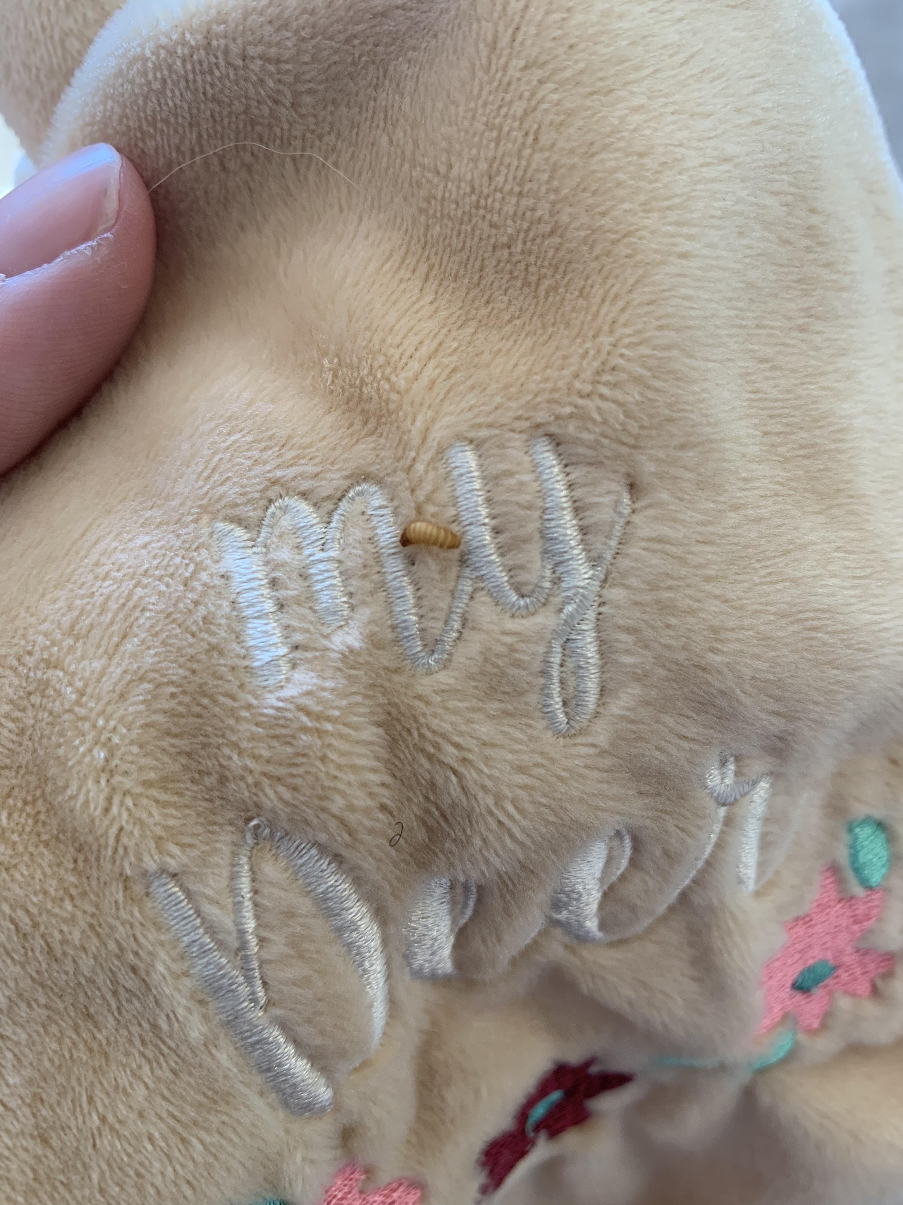 Found in a bin with my daughters new stuffed animals. It’s been in my