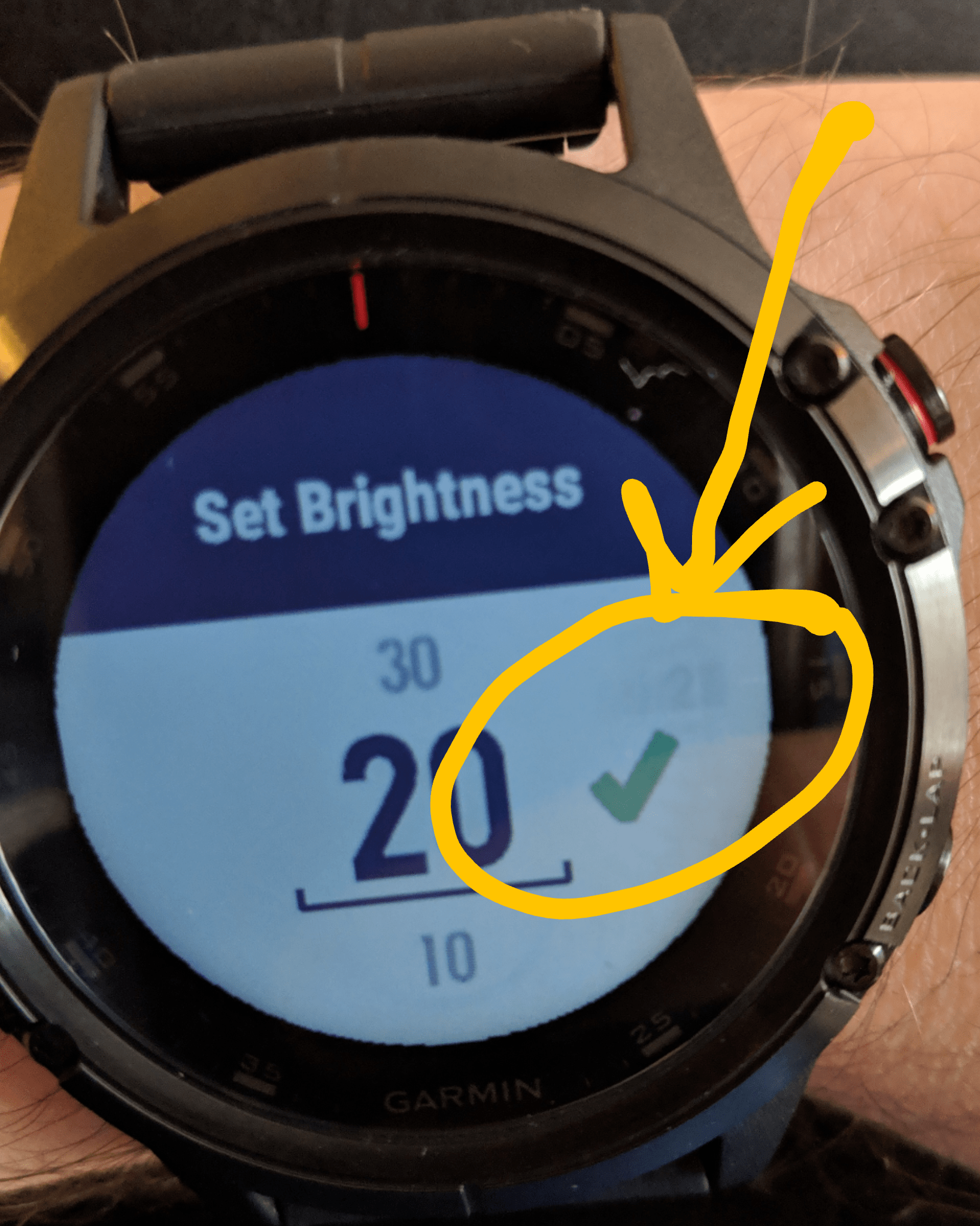 Fenix 5 Plus screen burn in r/Garmin