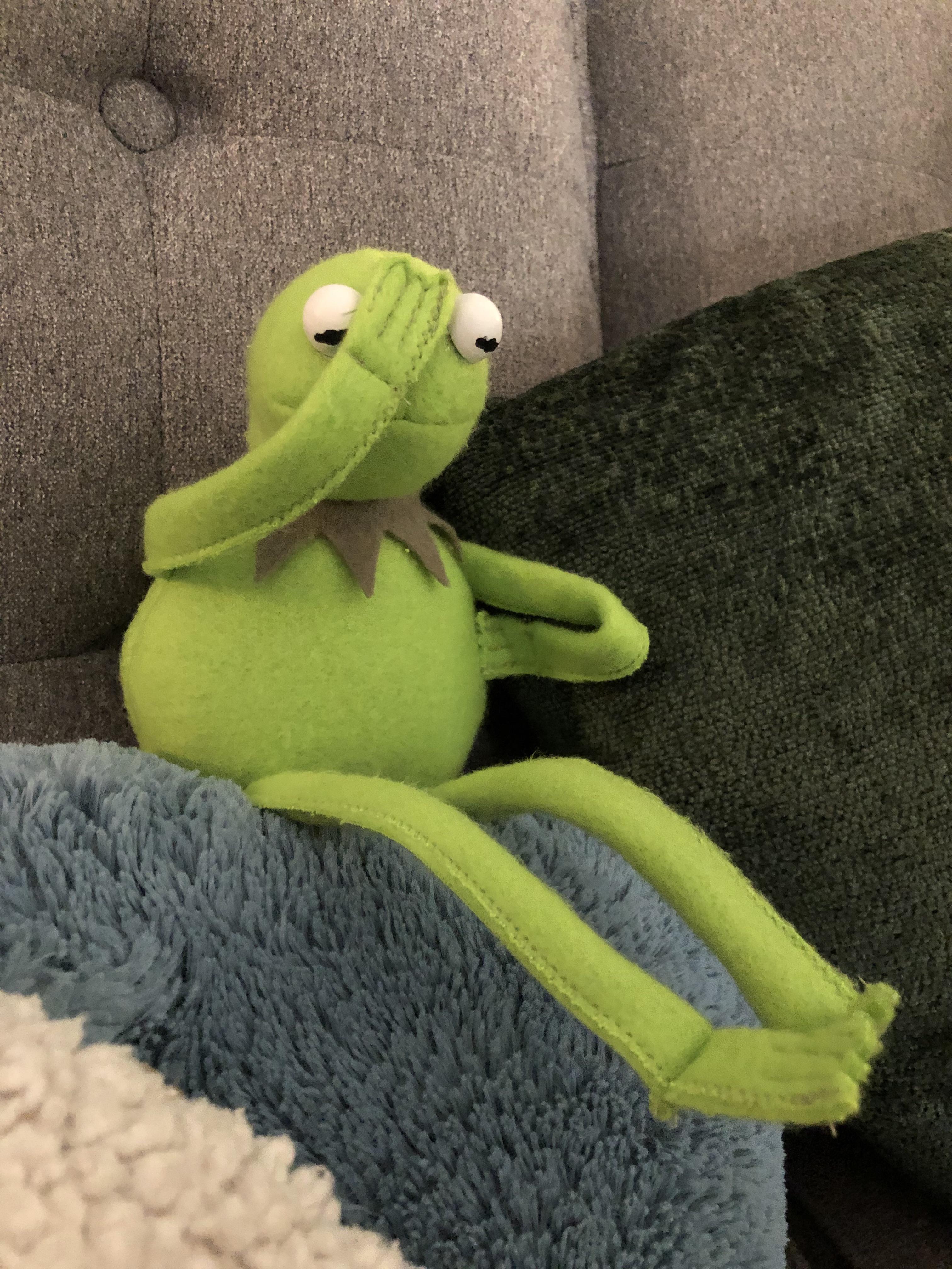 Obiloviny Speciální Půlkruh 864 kermit the frog bean bag doll tady