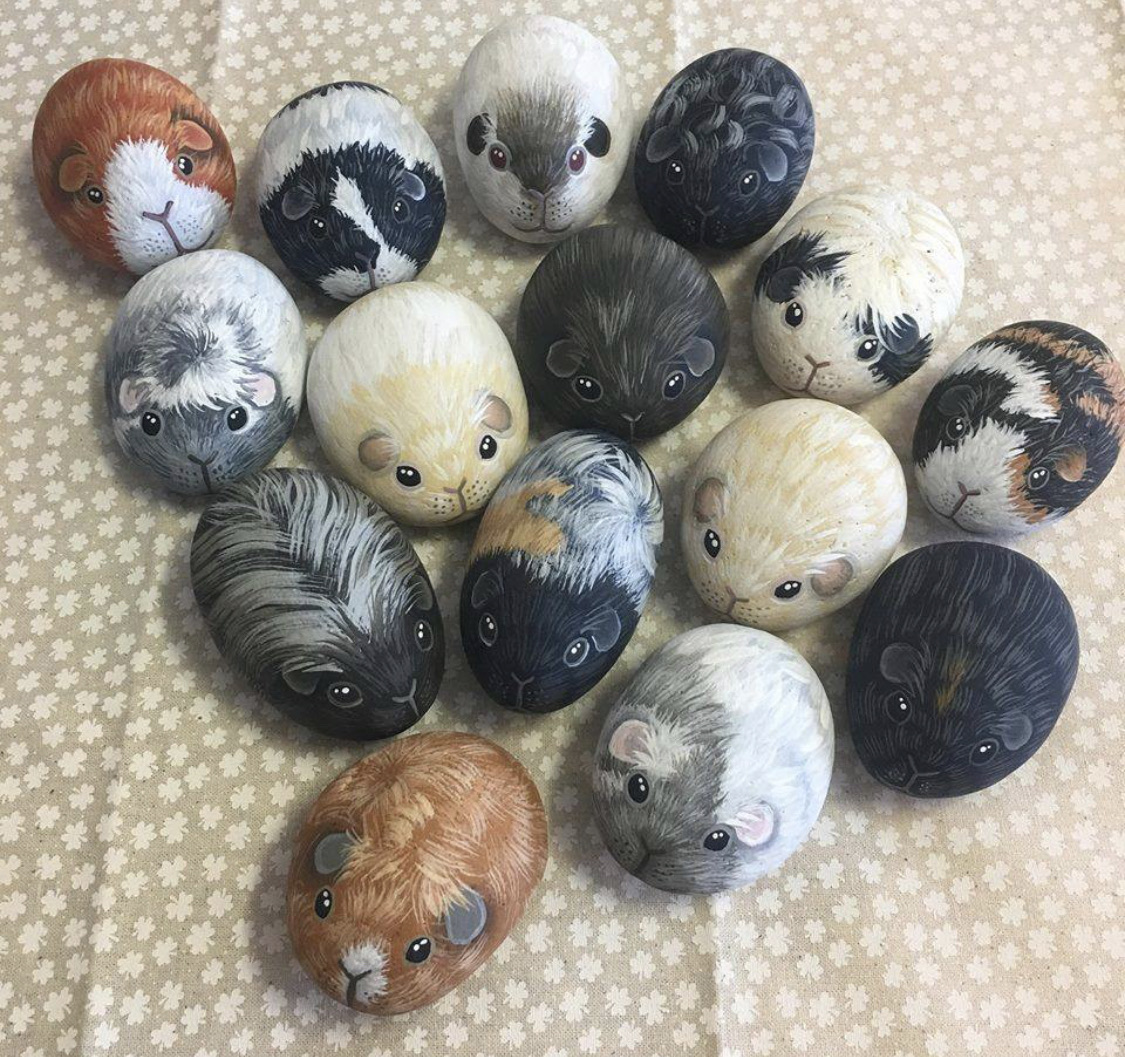 If you can???t have a guinea pig, how about a rock painted to look like