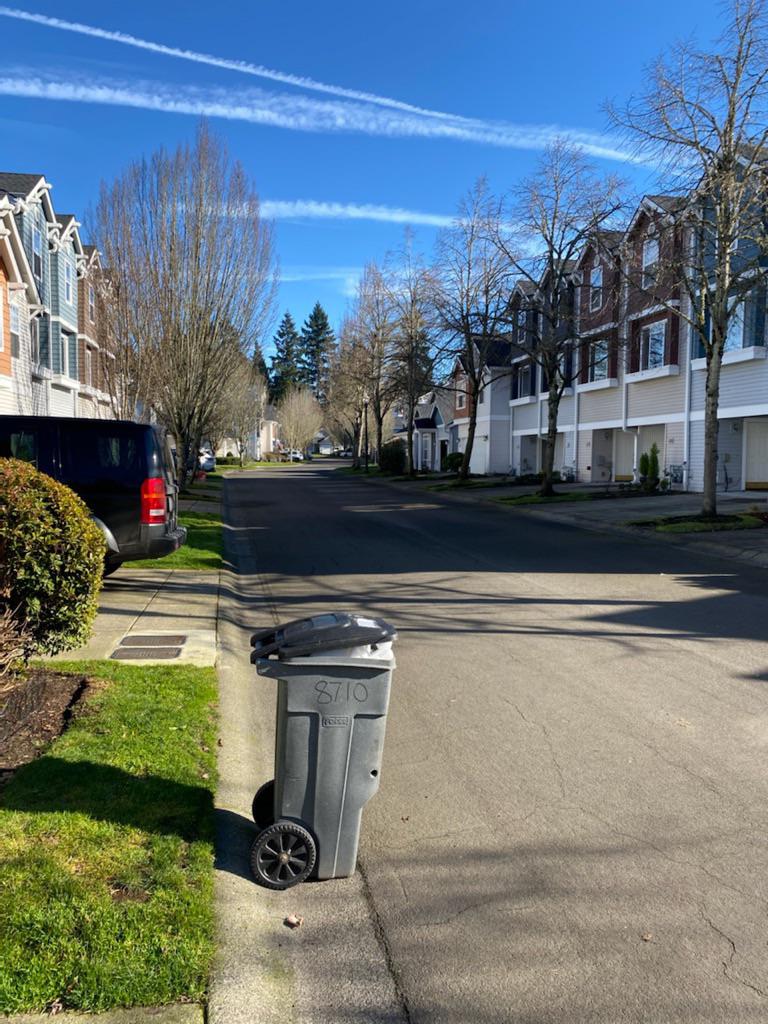 That deep feeling of unease, when you know it’s bin night and yours is