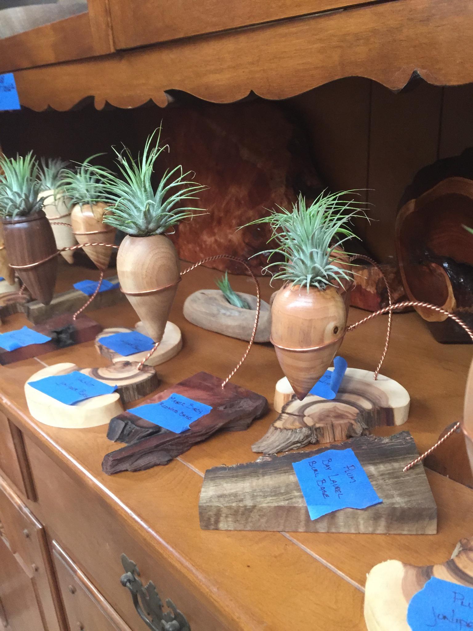 Thought you'd like to see these cool desktop air plant holders I make