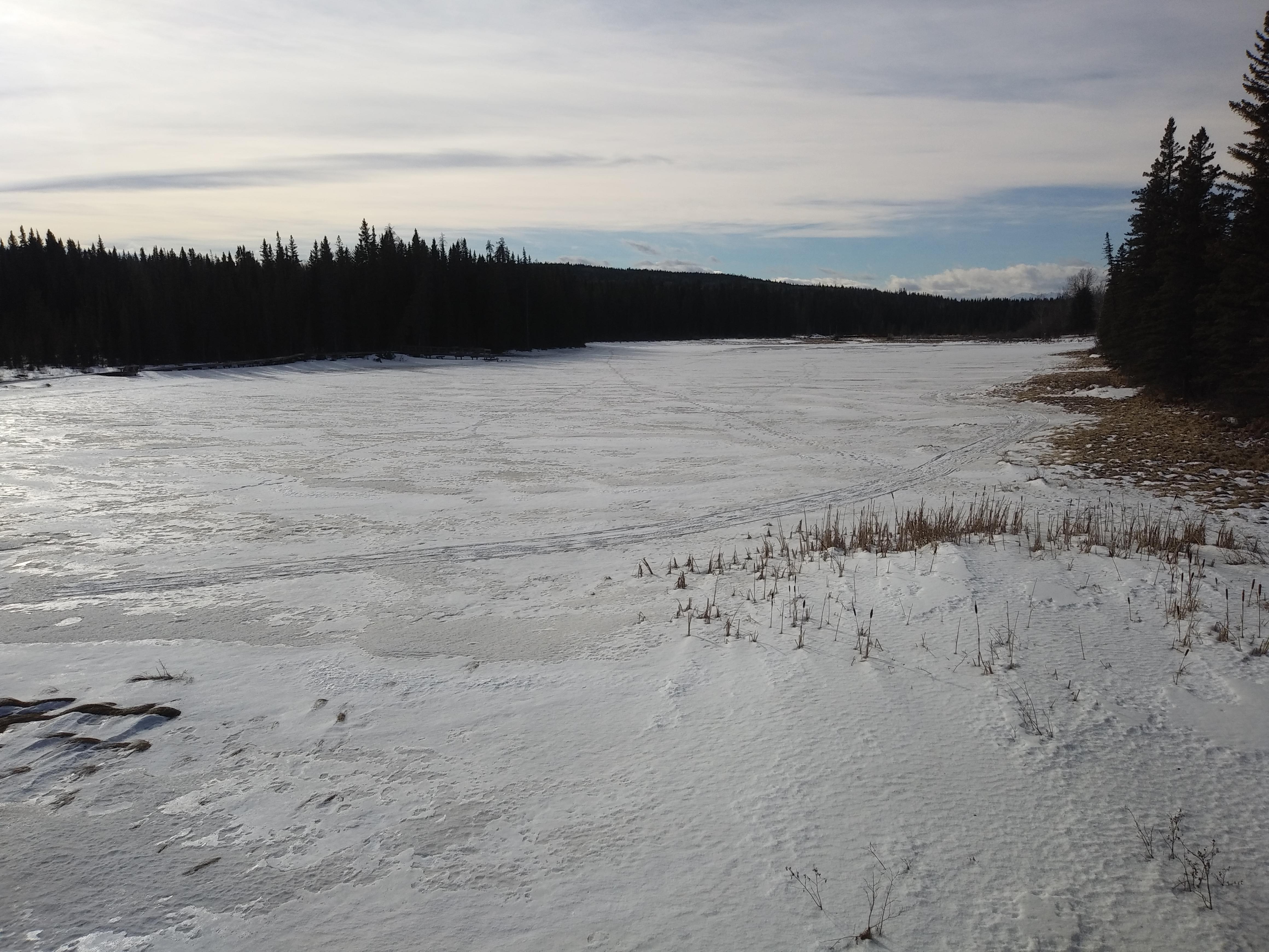Maxwell Lake, Hinton looking towards the Beaver Boardwalk alberta