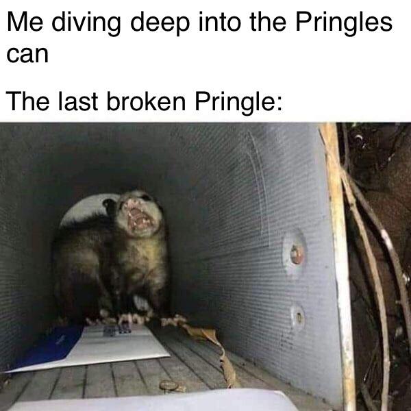 Fit my hand in a pringle can r/boburnham