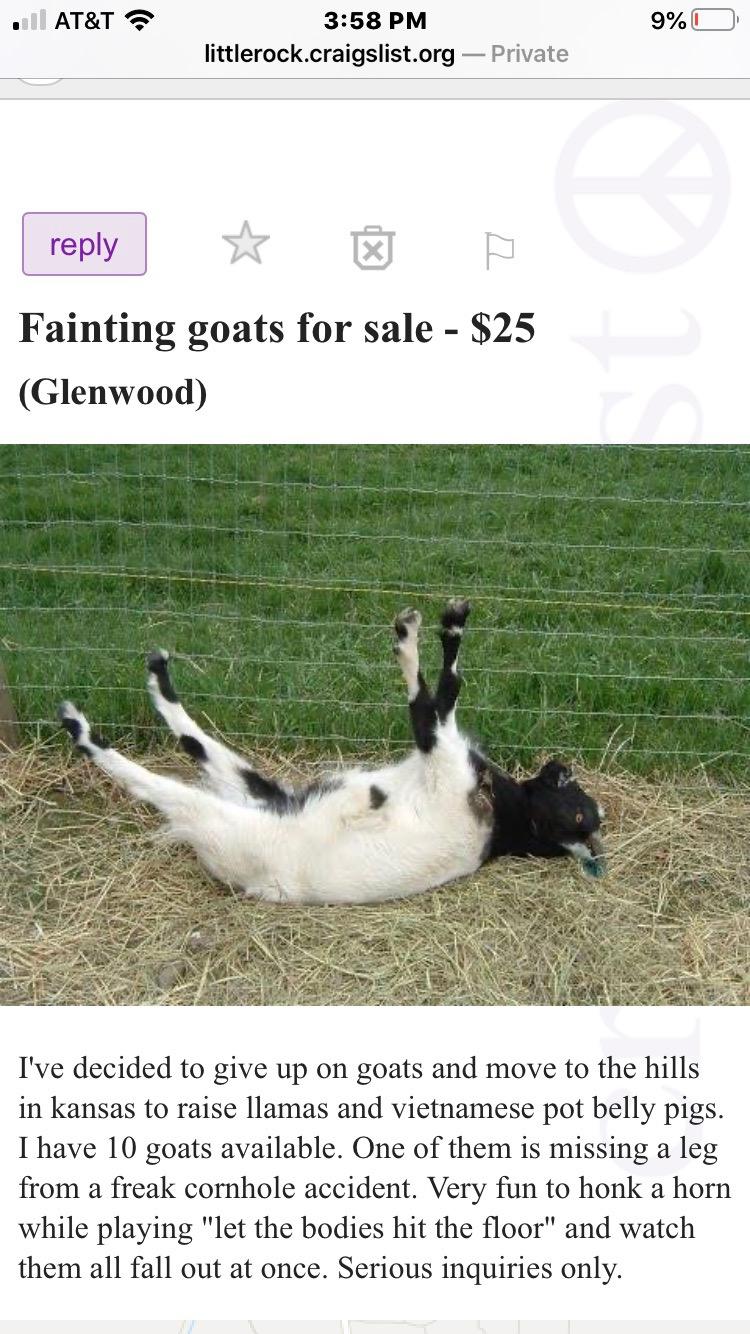My brother and I were looking for some goats to purchase. Hilarious