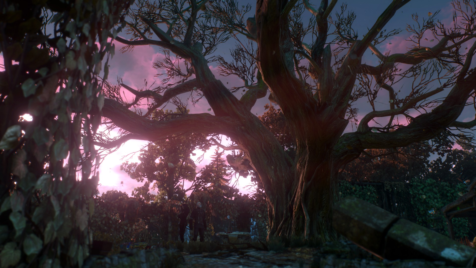 Freya's Garden, Skellige r/witcher