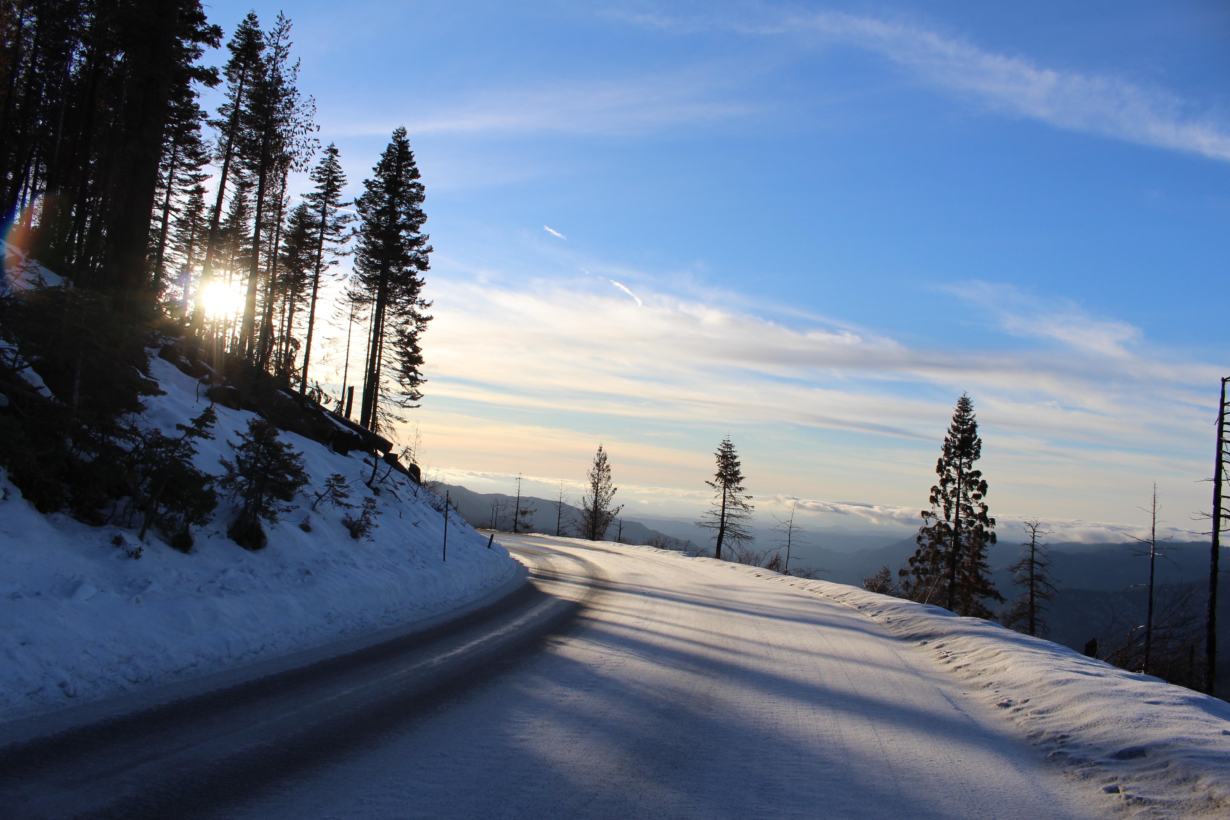 Yesterday, on the way back from Badger Pass (Yosemite Ski and Snow Area