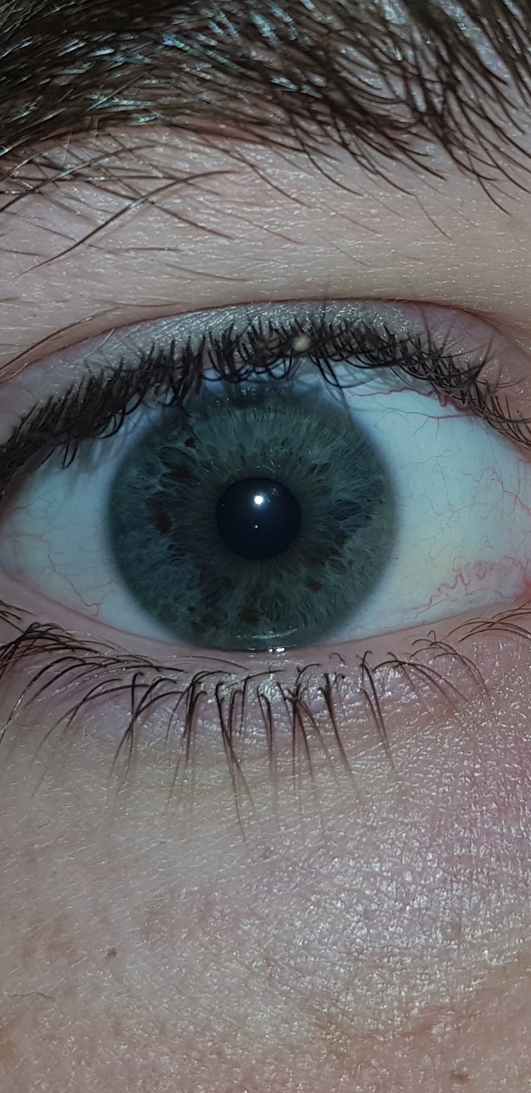 Really deep dark blue eyes. I have never met anyone with a similar eye