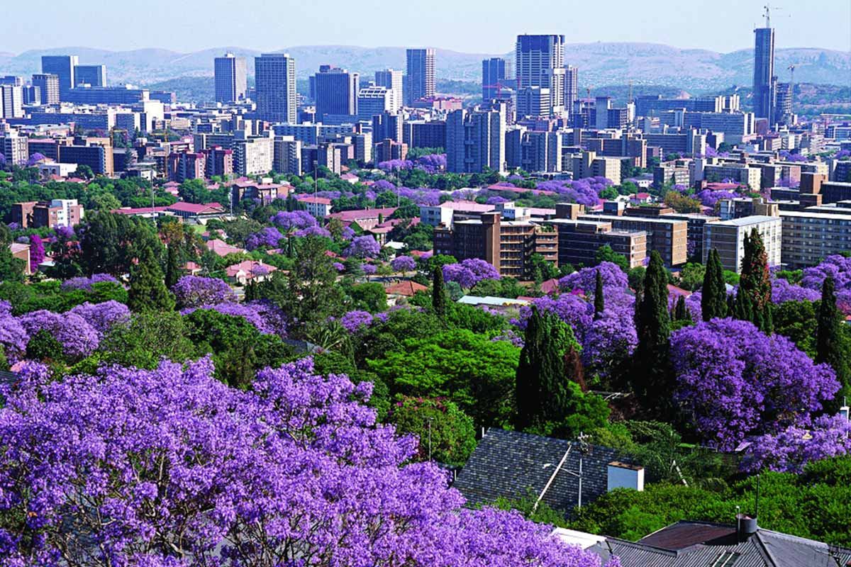 Pretoria, South Africa (The Jacaranda City) r/CityPorn
