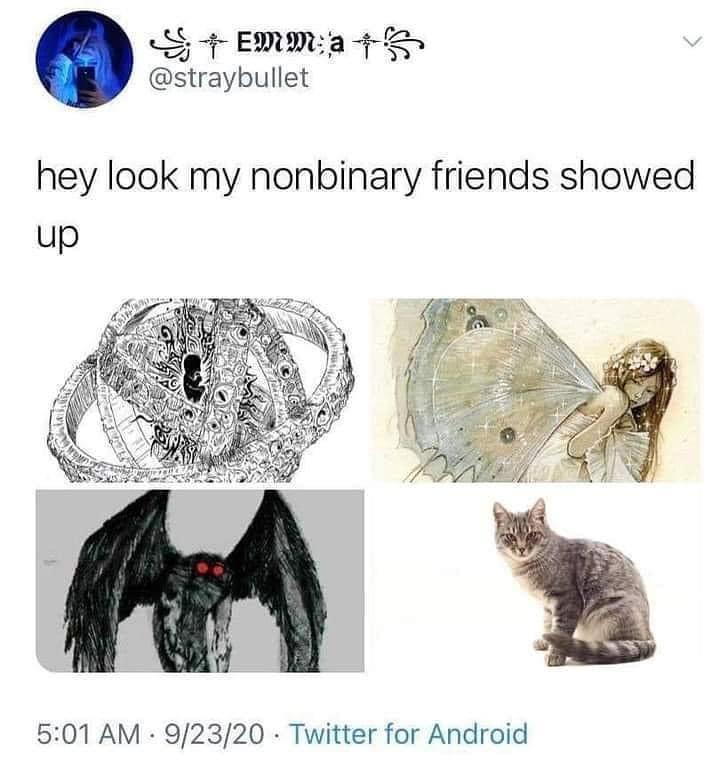 Just a meme NonBinary
