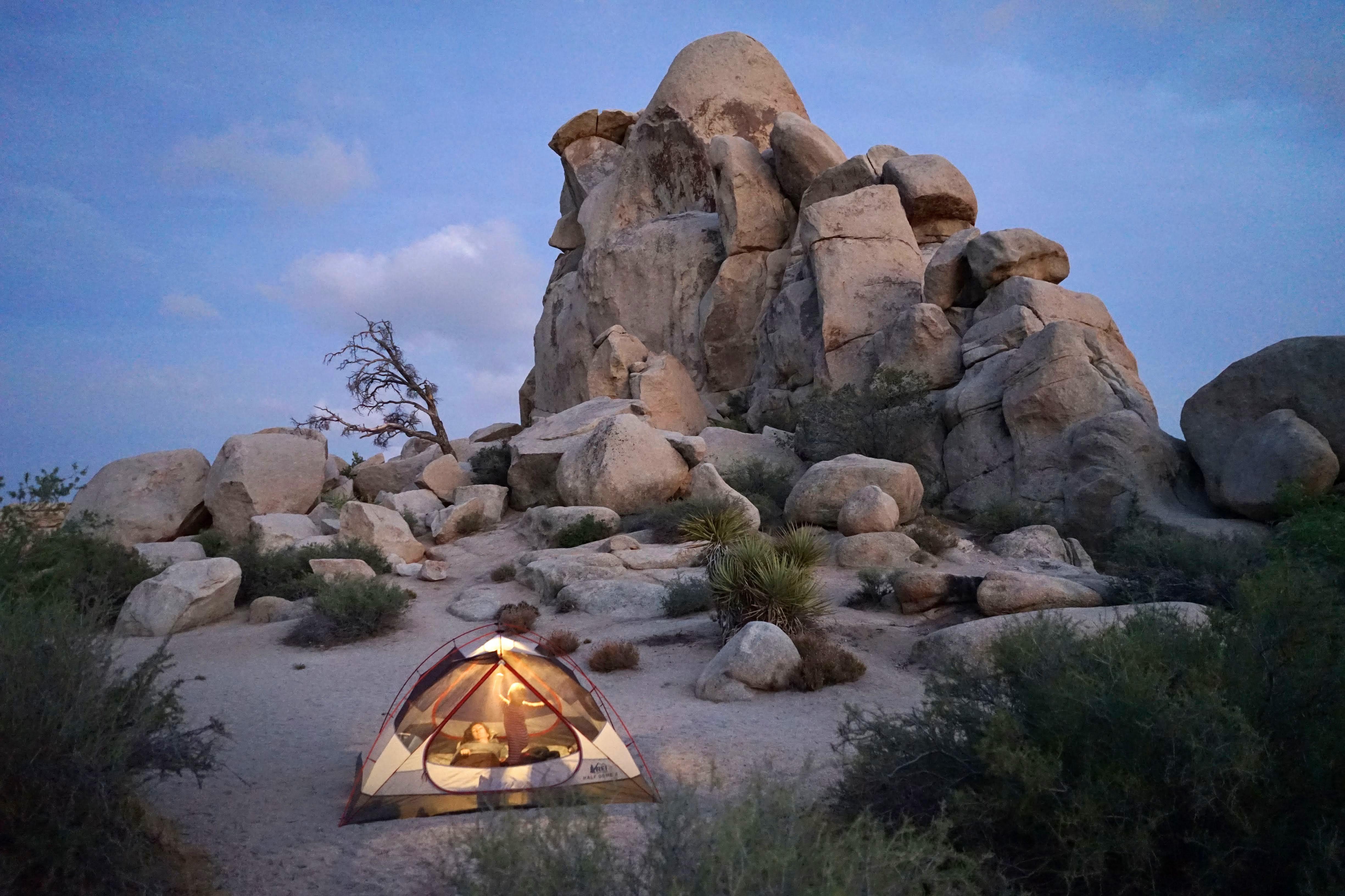 Camping Joshua Tree camping distractiv