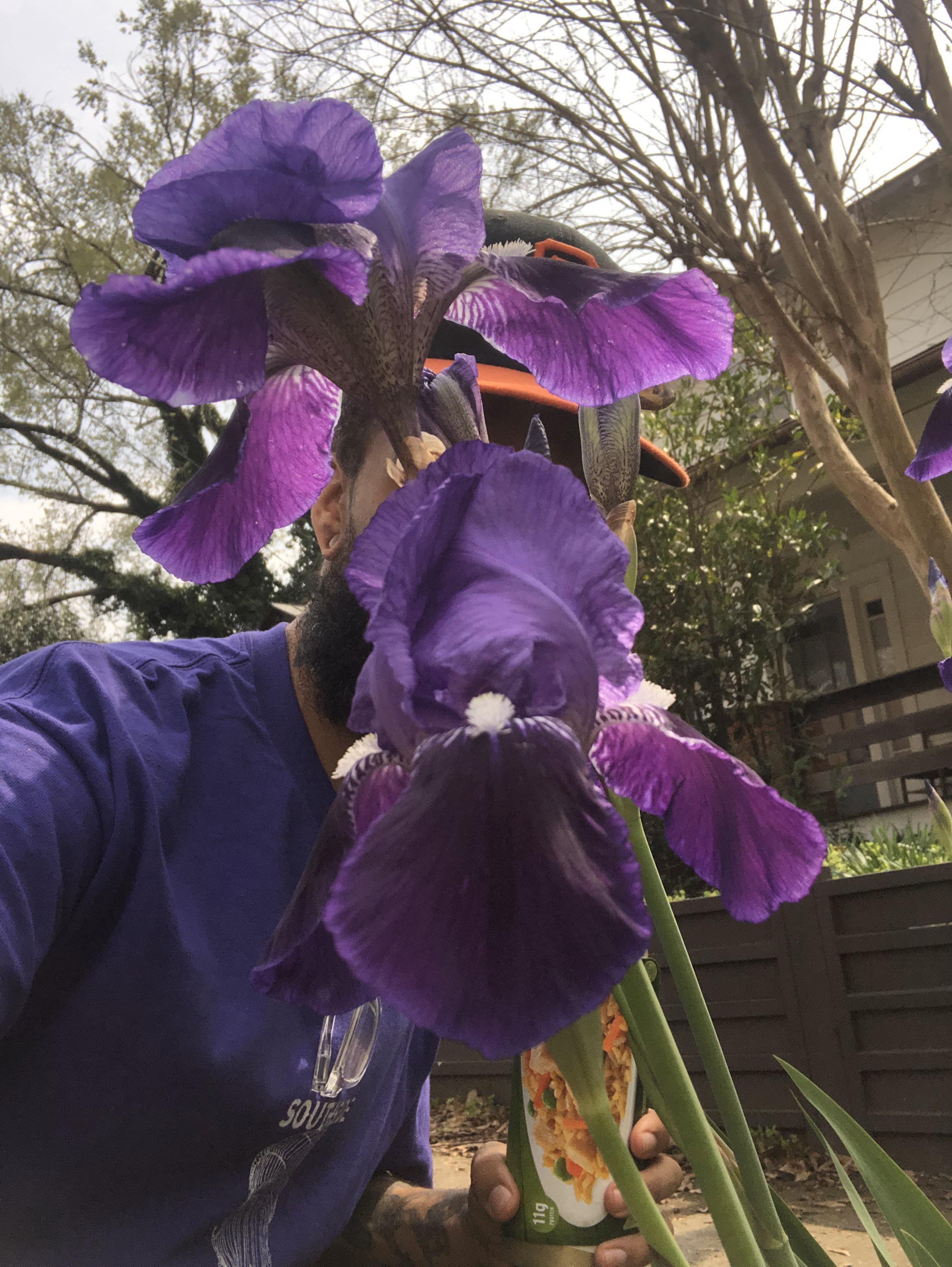Flowers smell nice r/purple