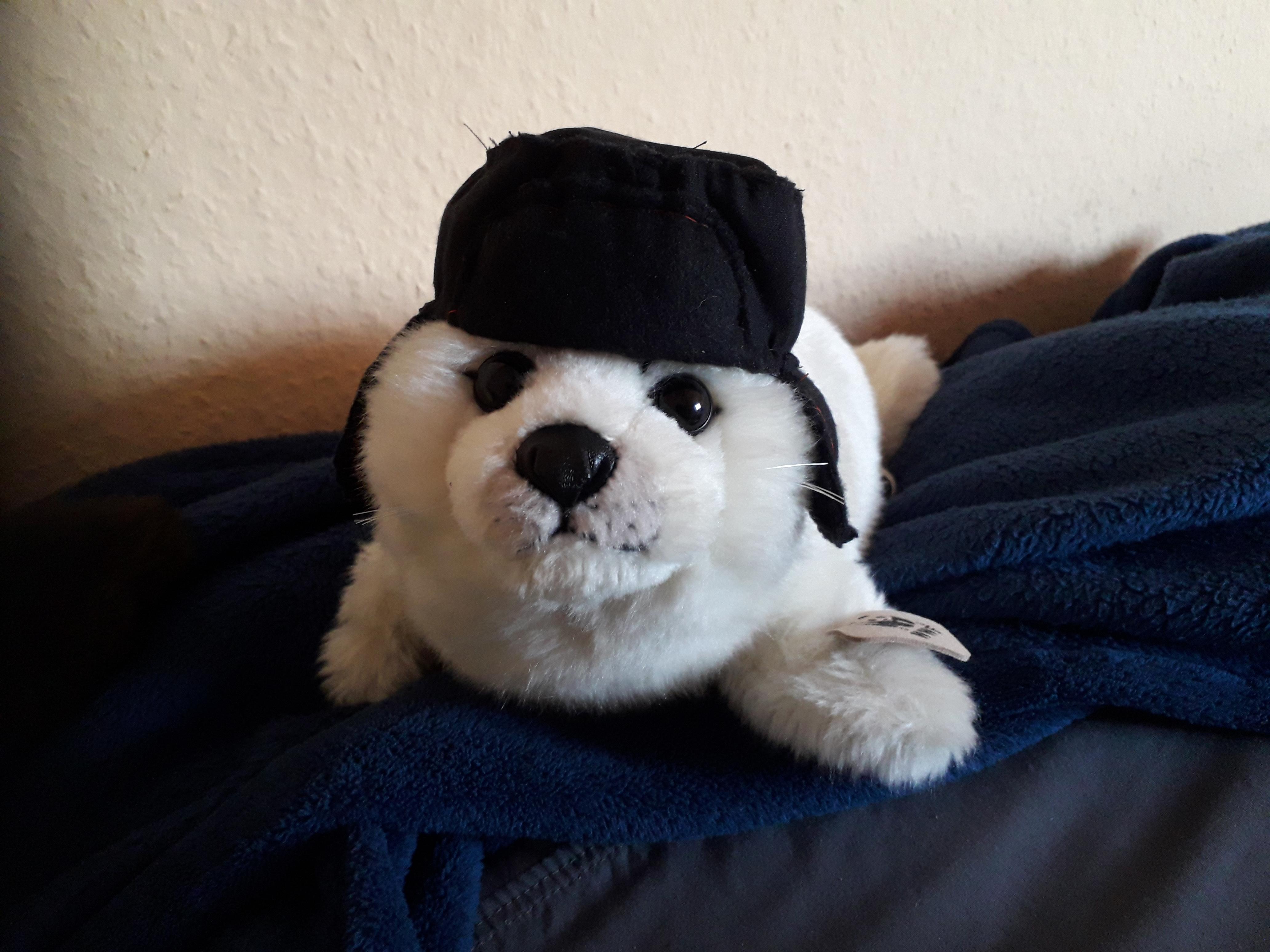 180 best Ushanka images on Pholder Lifeof Boris, Slavs Squatting and