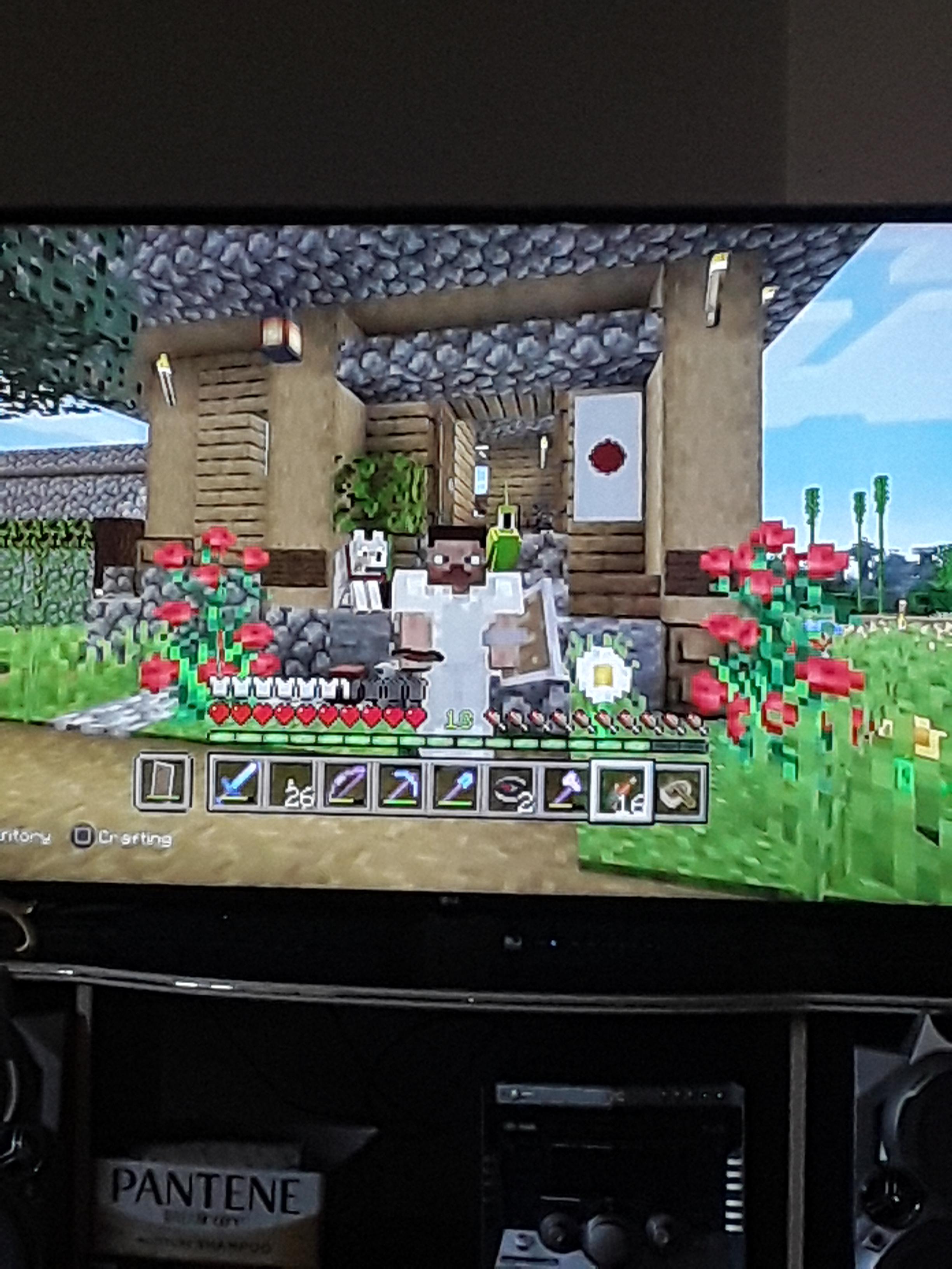 What do I name my pets r/Minecraft