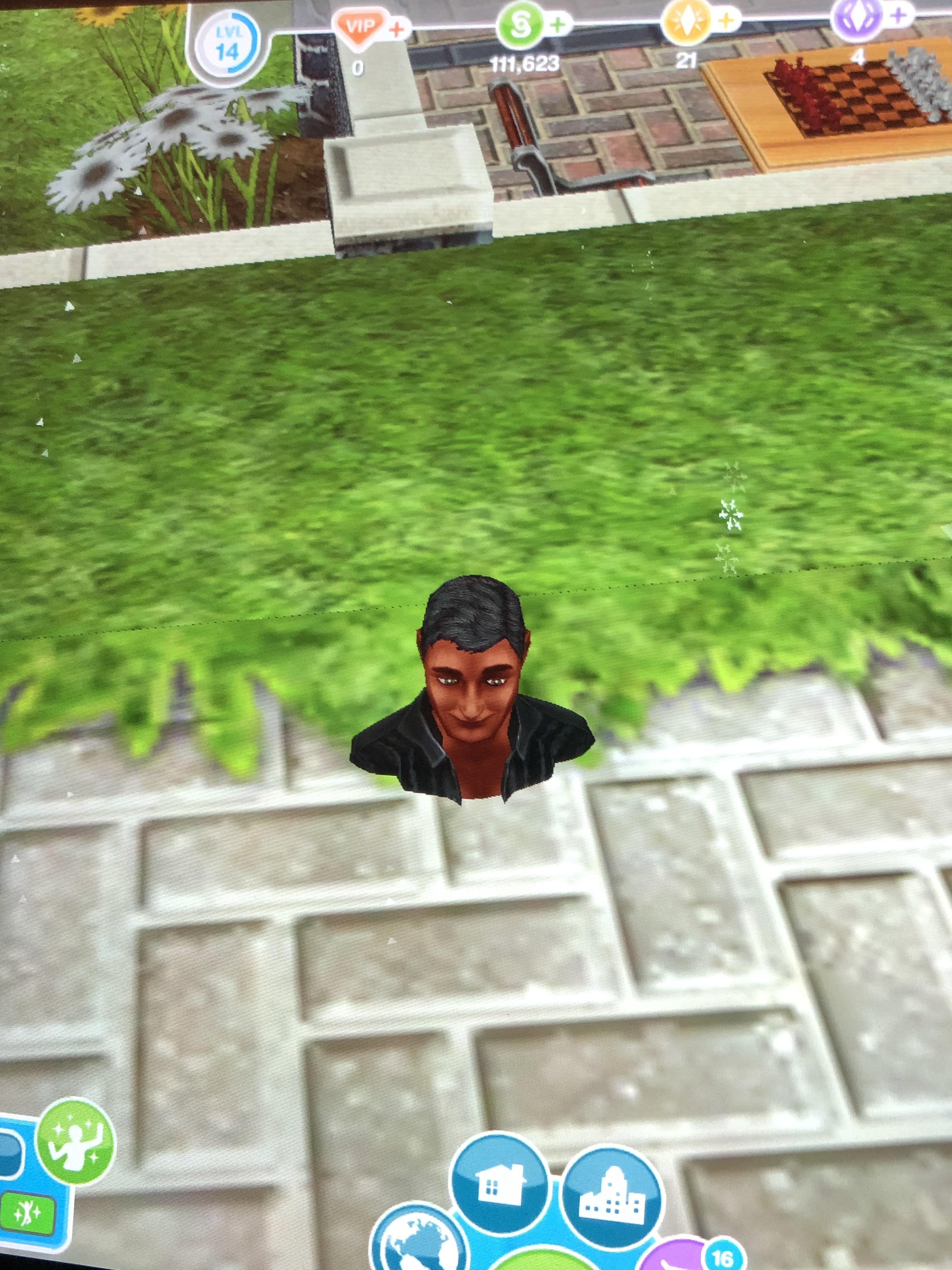 Sims freeplay glitch r/TechNope